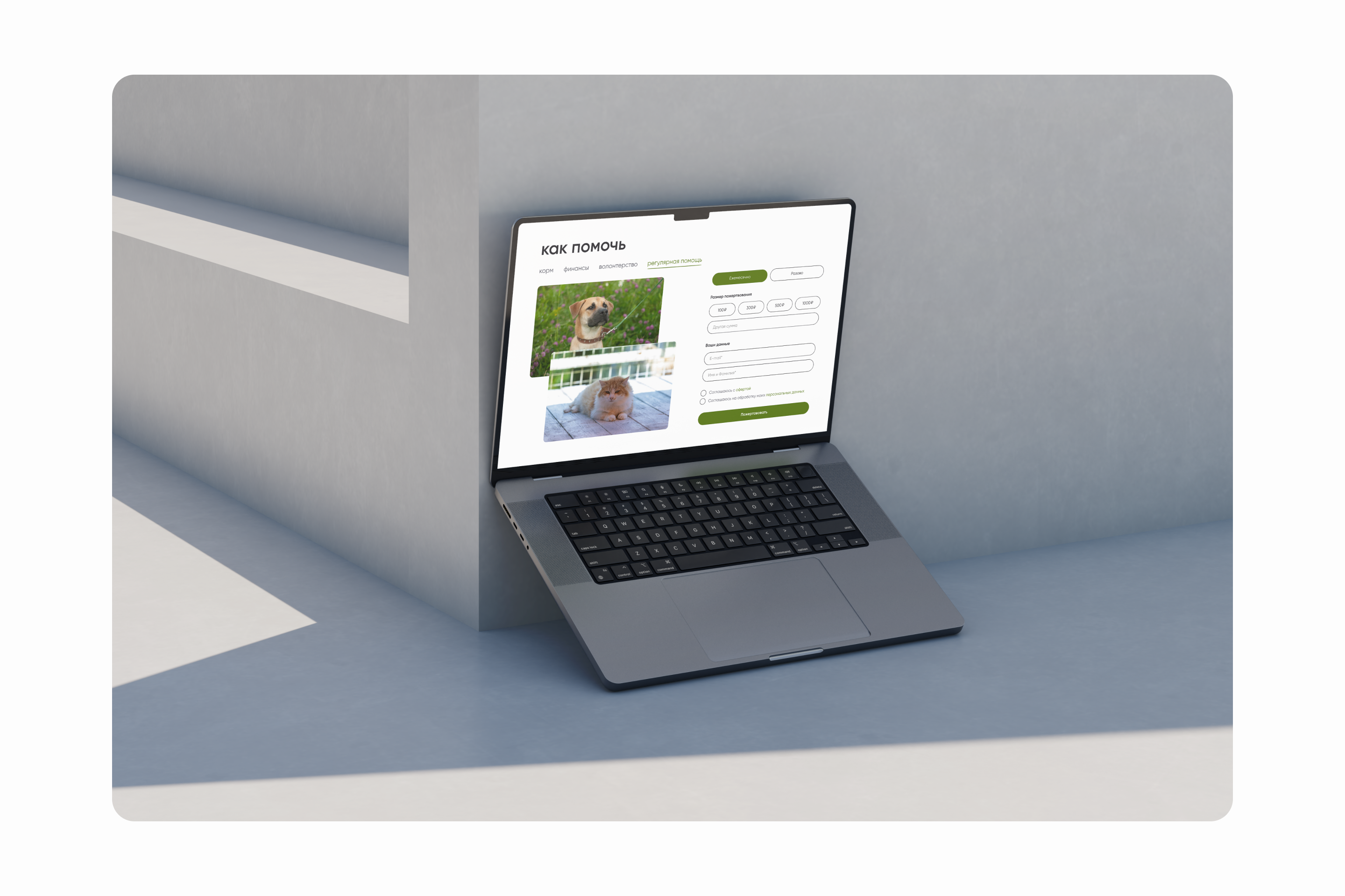 redesign website for animal shelter — Изображение №5 — Интерфейсы, Брендинг на Dprofile
