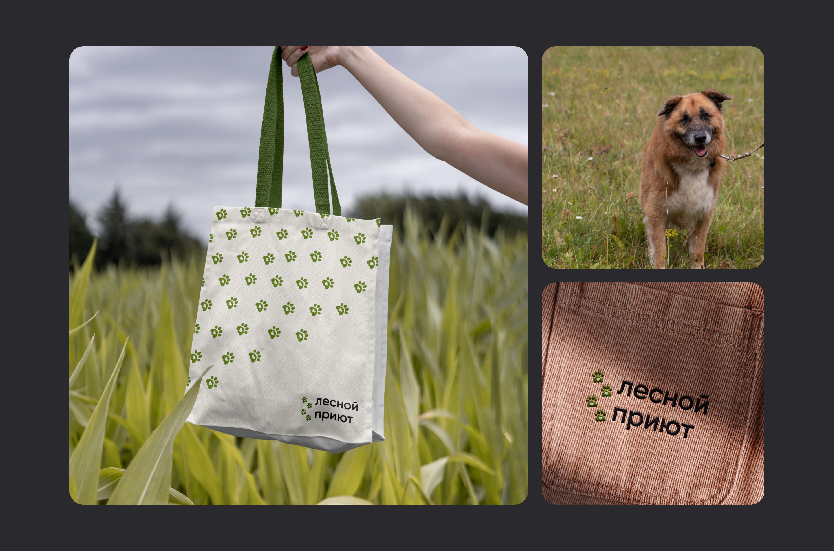 redesign website for animal shelter — Изображение №8 — Интерфейсы, Брендинг на Dprofile