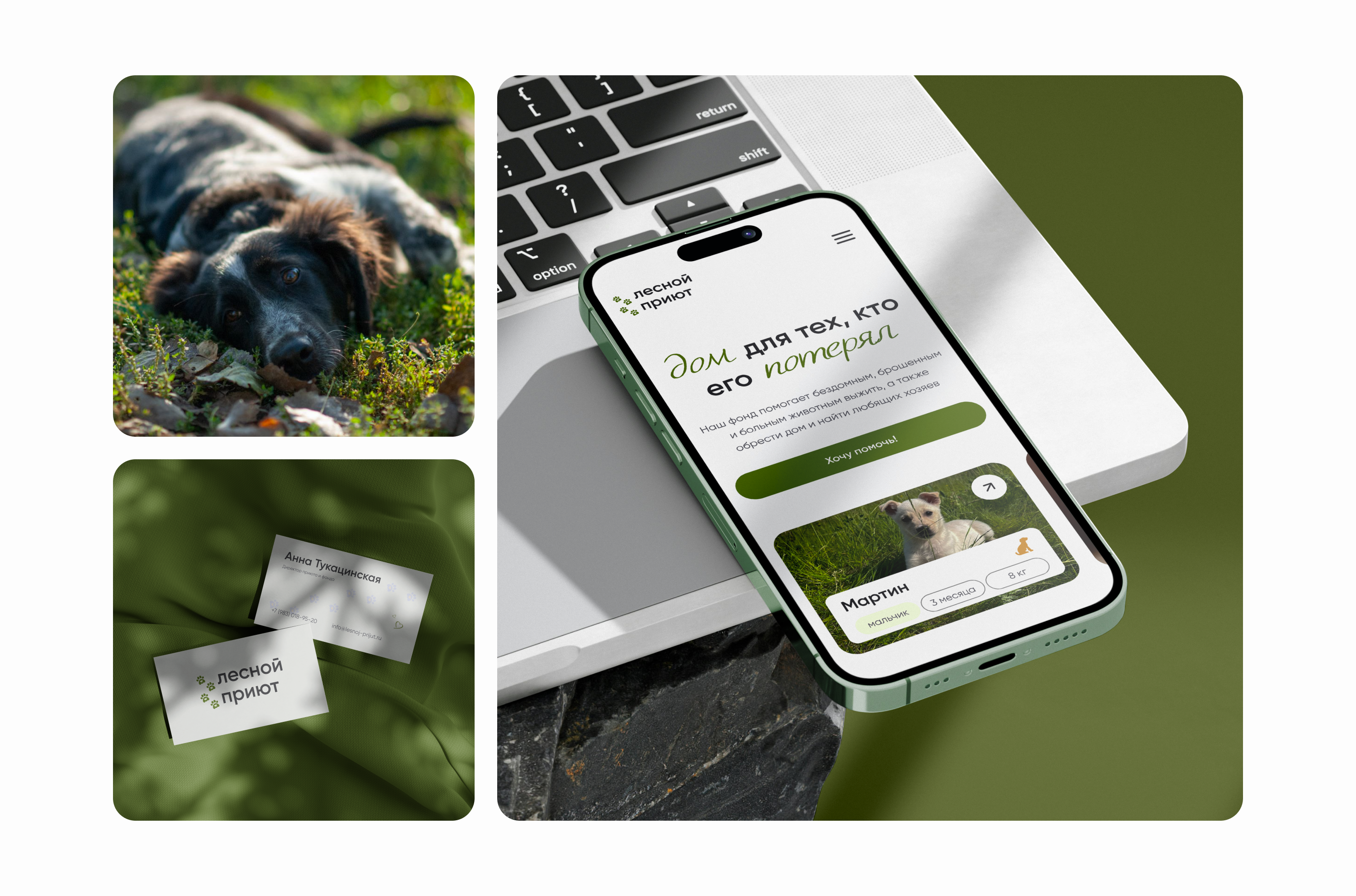 redesign website for animal shelter — Изображение №3 — Интерфейсы, Брендинг на Dprofile