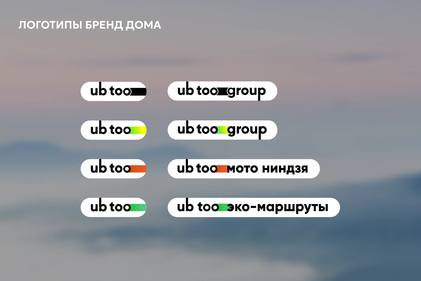 UB TOO GROUP | Организация событий и туризма | Брендинг — Изображение №5 — Интерфейсы, Брендинг на Dprofile