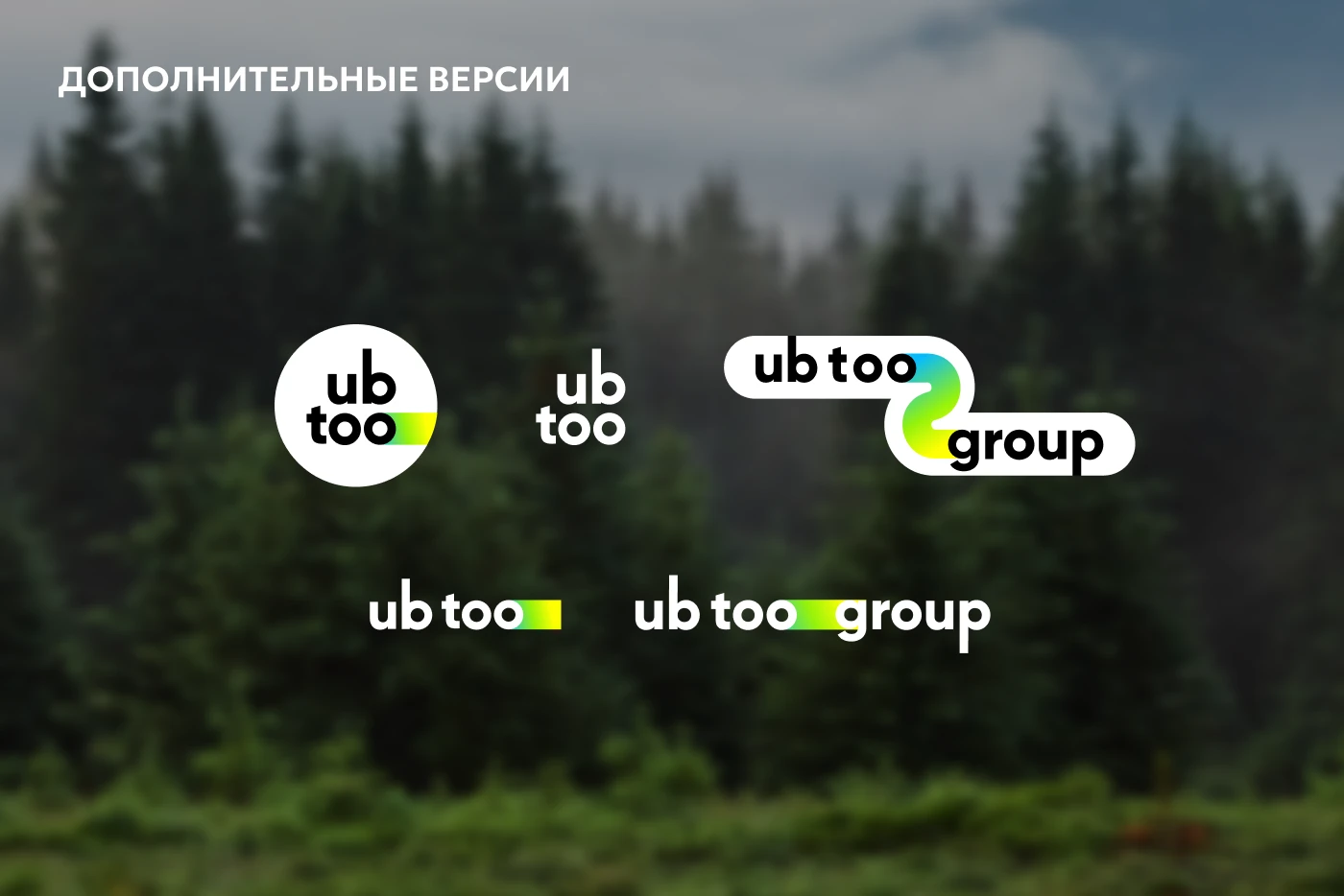 UB TOO GROUP | Организация событий и туризма | Брендинг — Изображение №6 — Интерфейсы, Брендинг на Dprofile