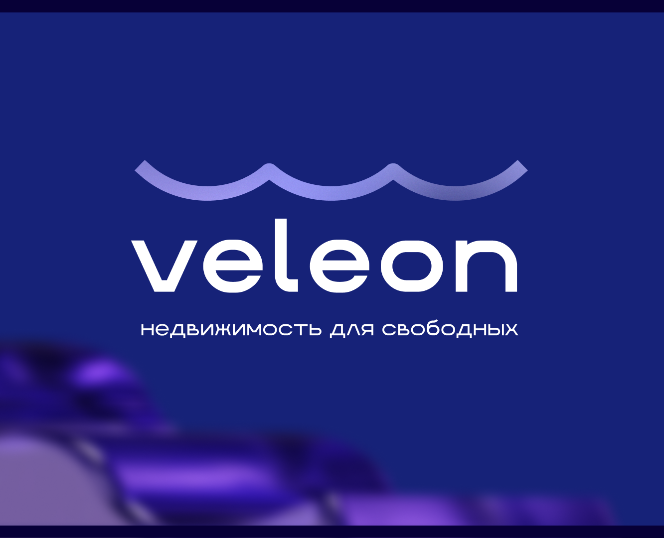 VELEON (дома из контейнеров) — Брендинг на Dprofile