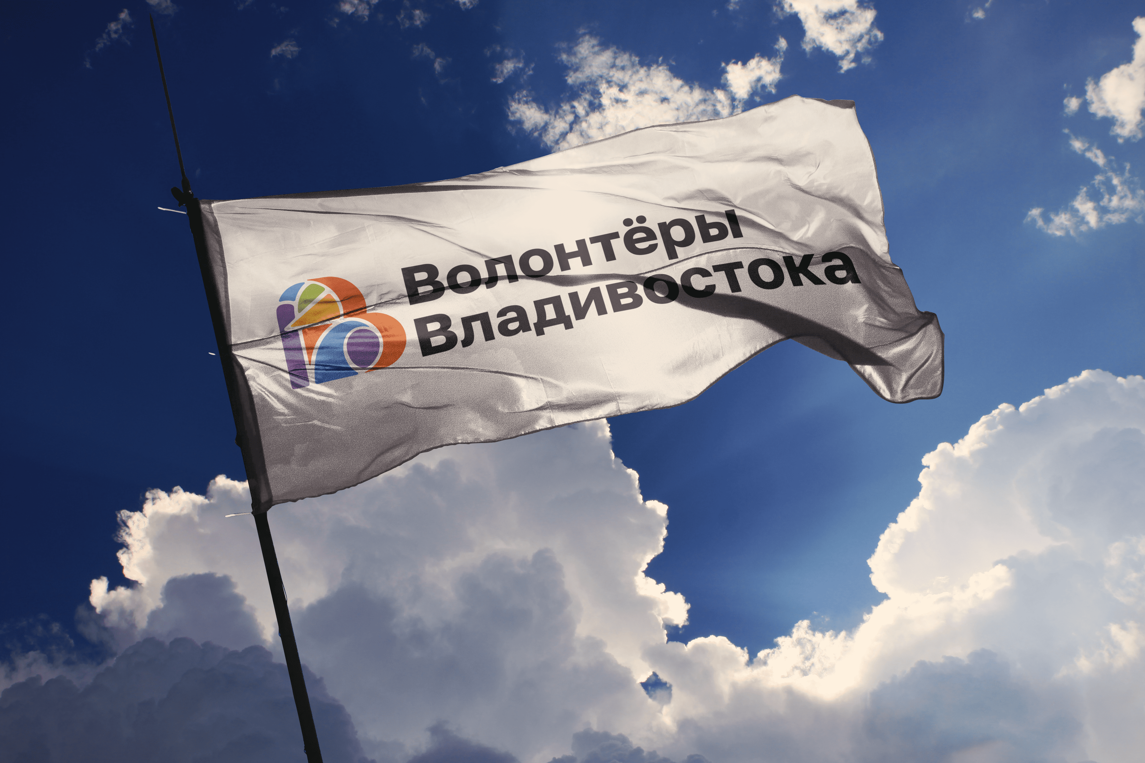 ВОЛОНТЁРЫ ВЛАДИВОСТОКА / VVO VOLUNTEERS — Изображение №3 — Брендинг на Dprofile