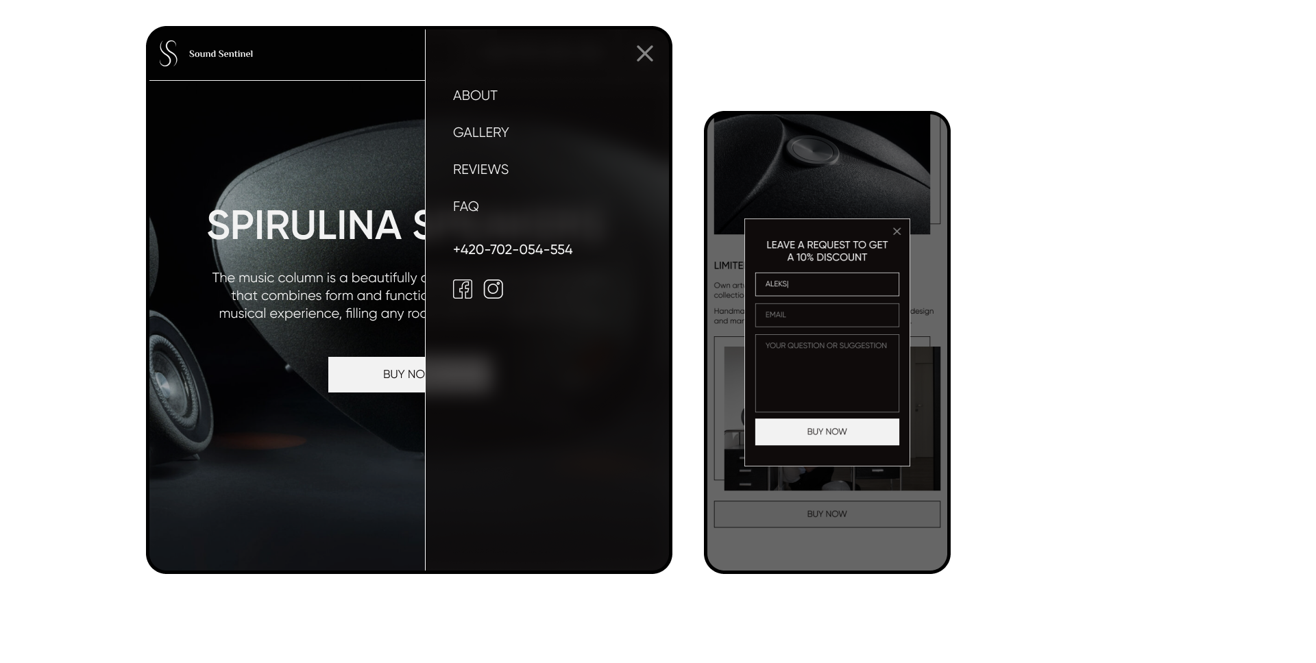 Landing Page for Spirulina speakers — Изображение №13 — Интерфейсы на Dprofile