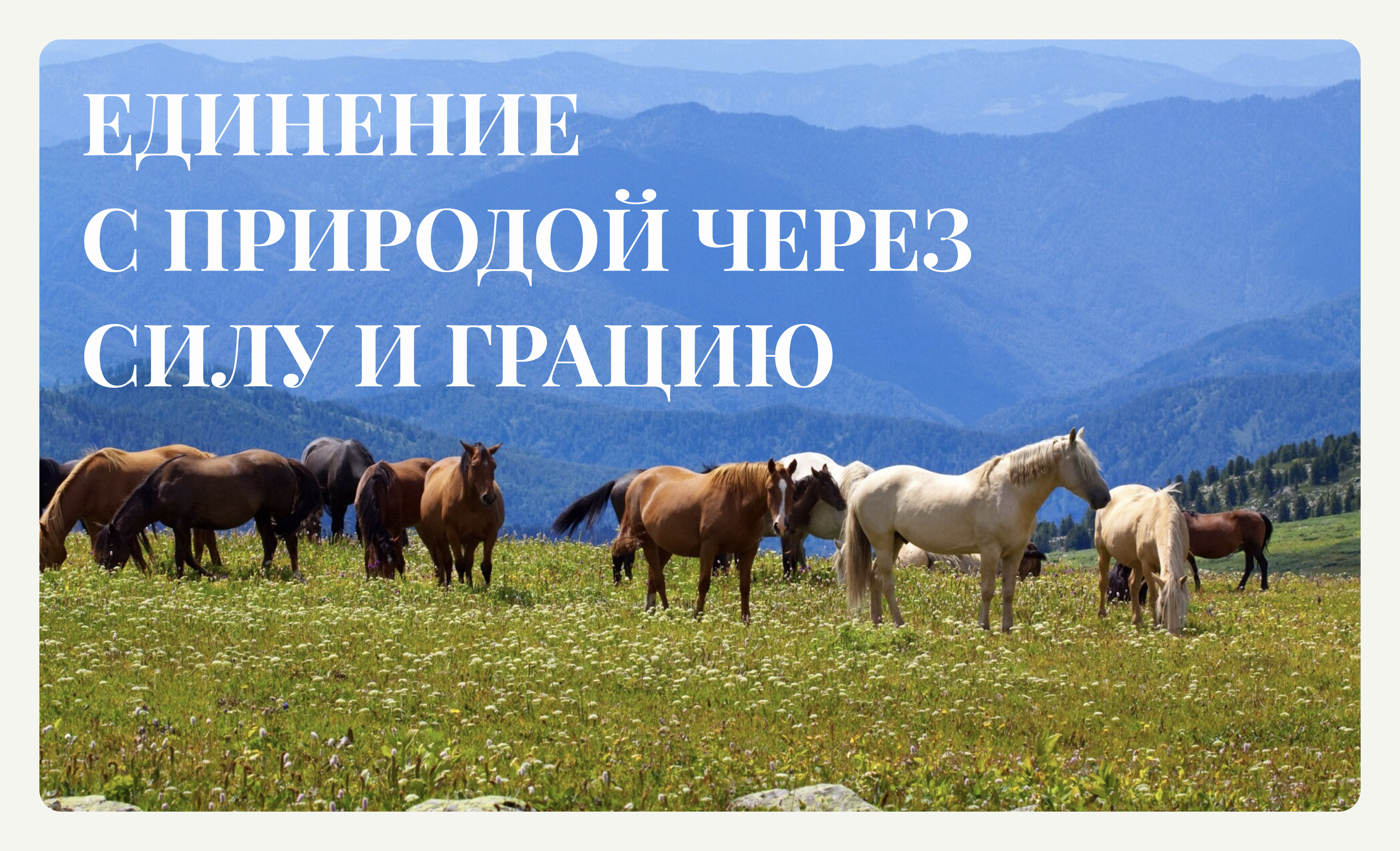 Landing Page EQUIDES CLUB | конный клуб — Изображение №4 — Интерфейсы на Dprofile