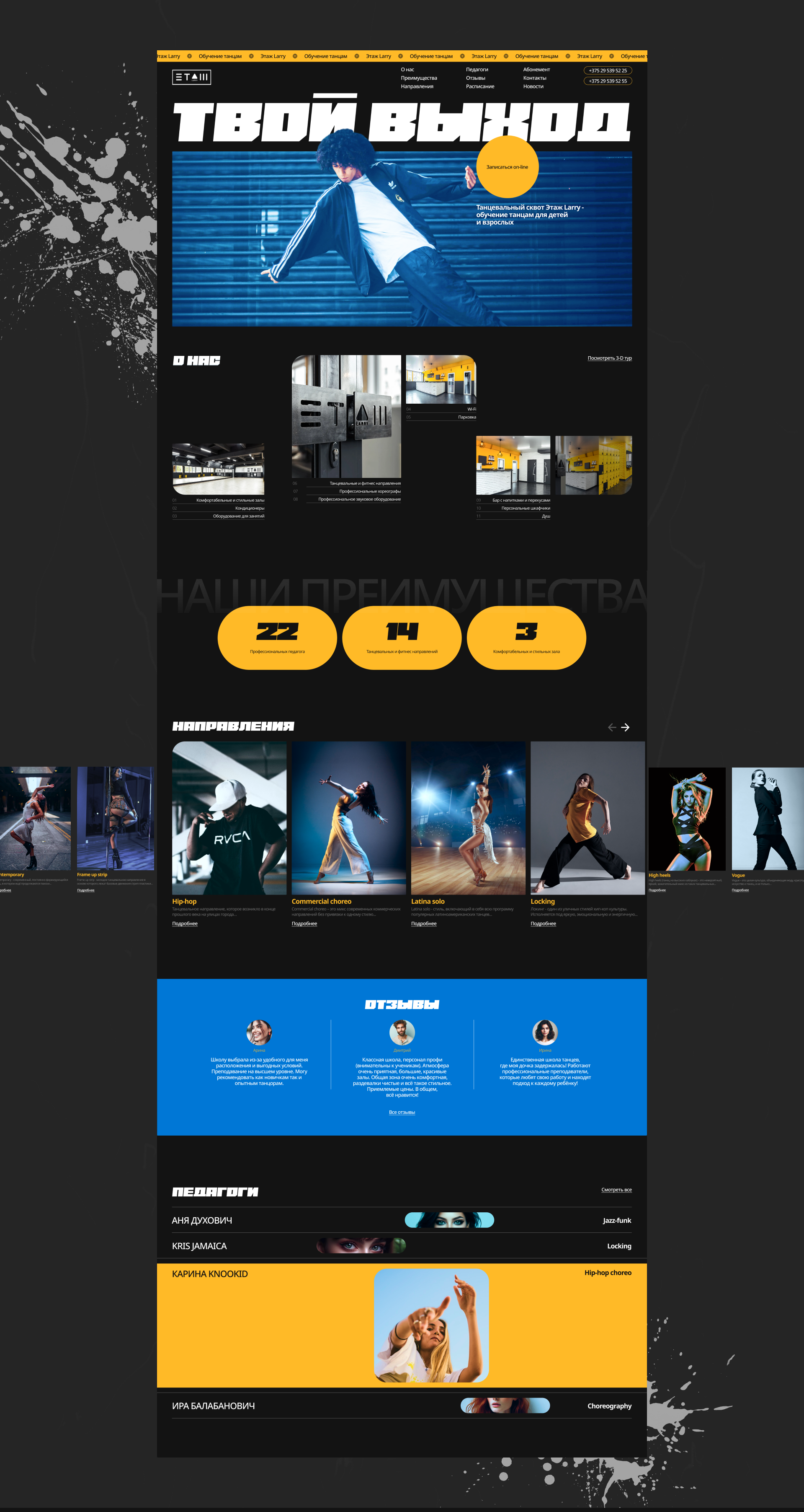 Landing page for a Dance School — Изображение №3 — Интерфейсы, Брендинг на Dprofile
