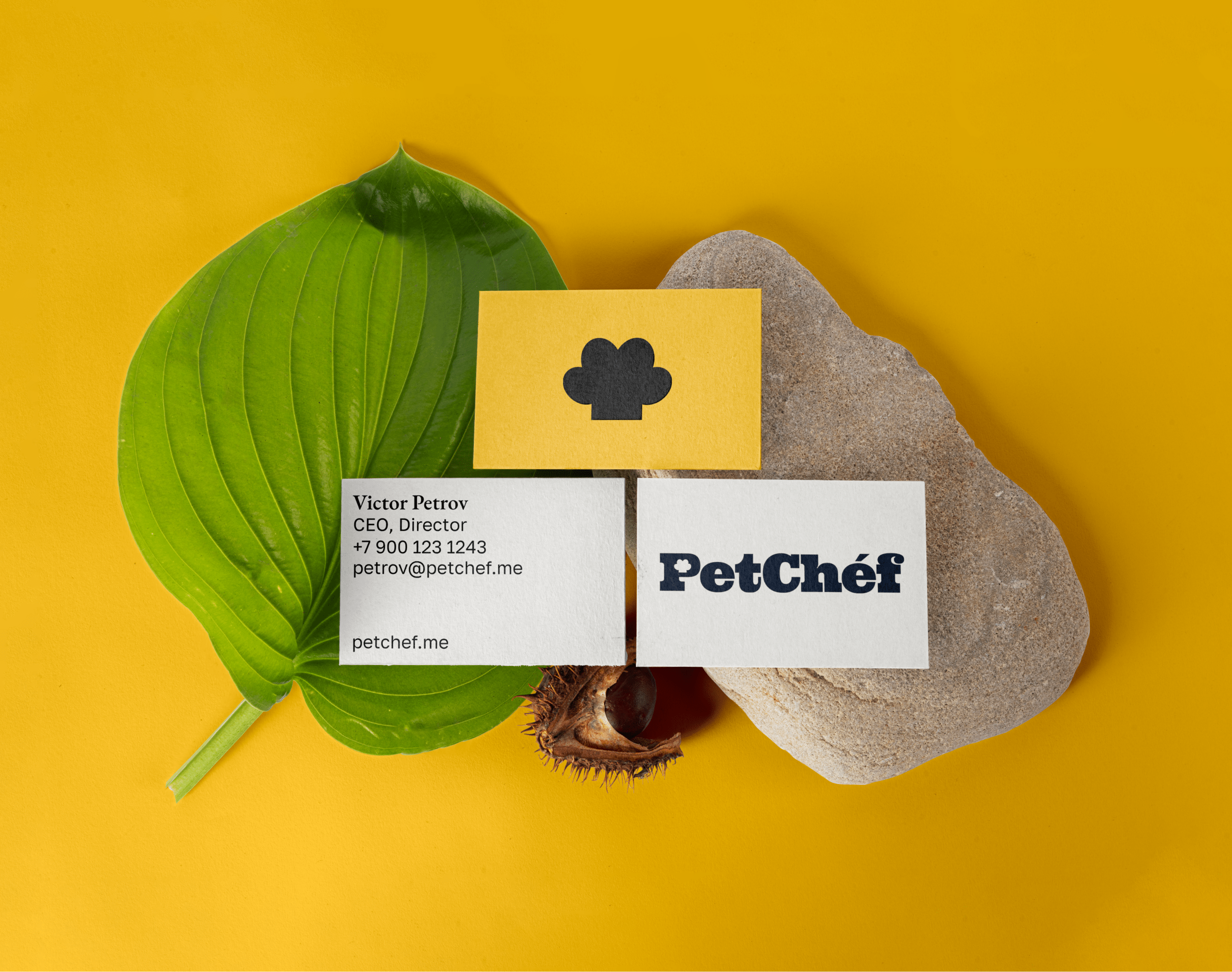 PetChéf® / Brand Identity — Изображение №12 — Брендинг на Dprofile