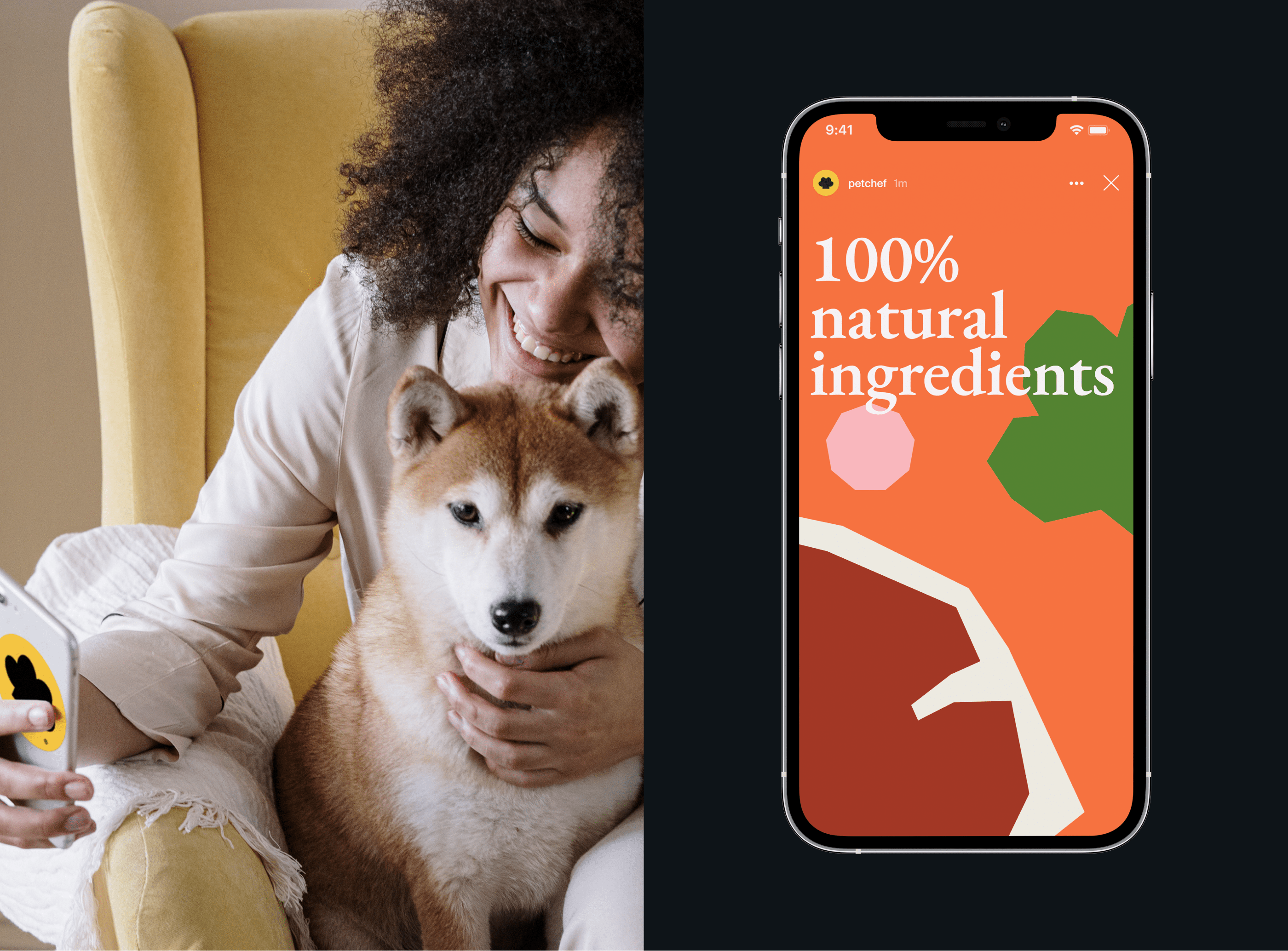 PetChéf® / Brand Identity — Изображение №15 — Брендинг на Dprofile