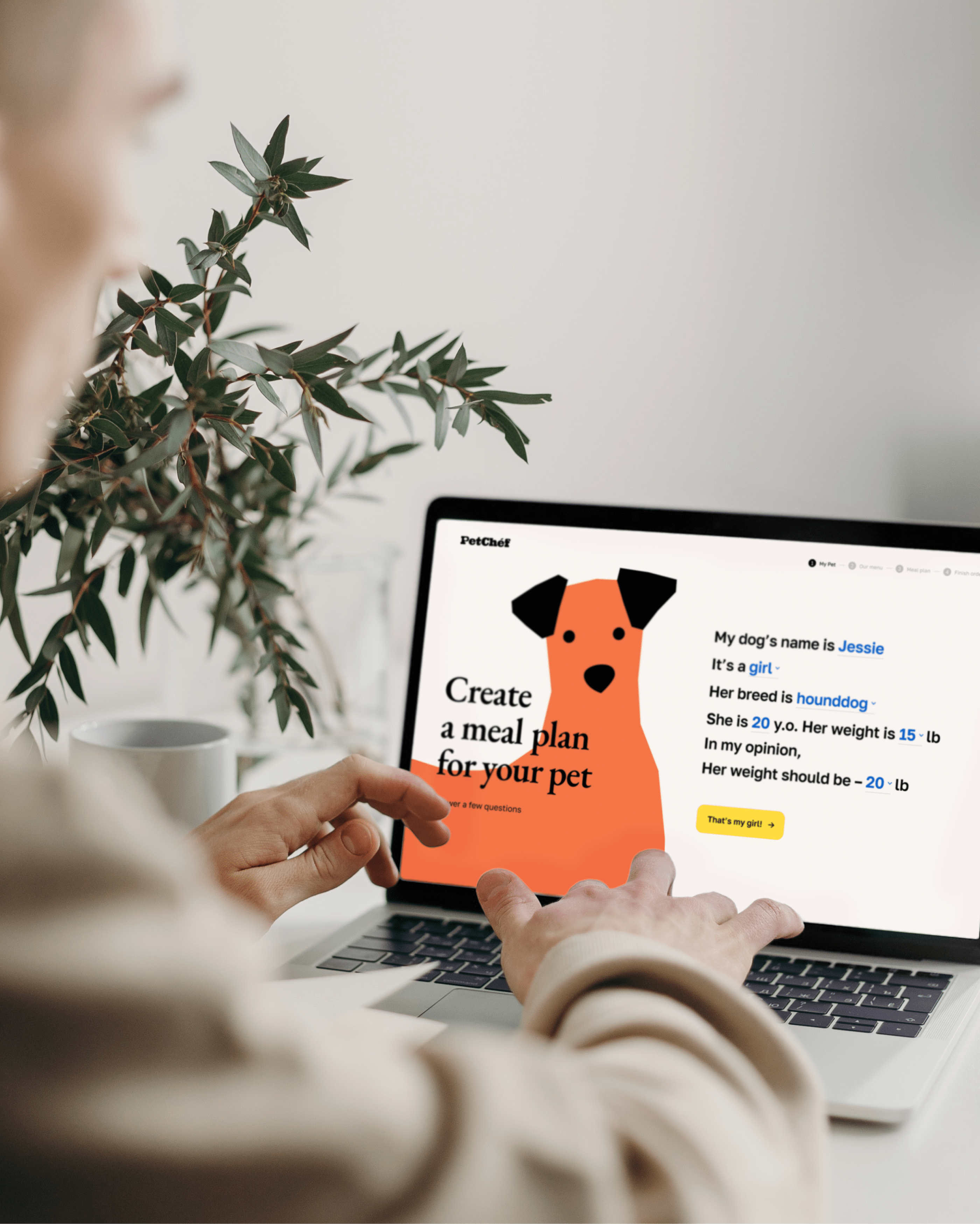 PetChéf® / Brand Identity — Изображение №14 — Брендинг на Dprofile