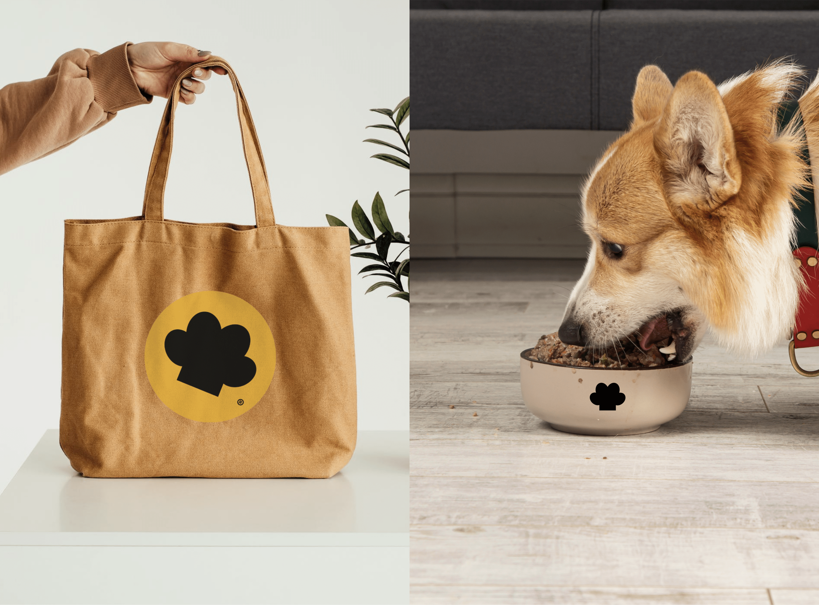 PetChéf® / Brand Identity — Изображение №11 — Брендинг на Dprofile