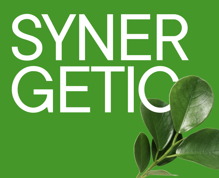 SYNERGETIC — перезапуск монобрендового интернет-магазина — Интерфейсы на Dprofile