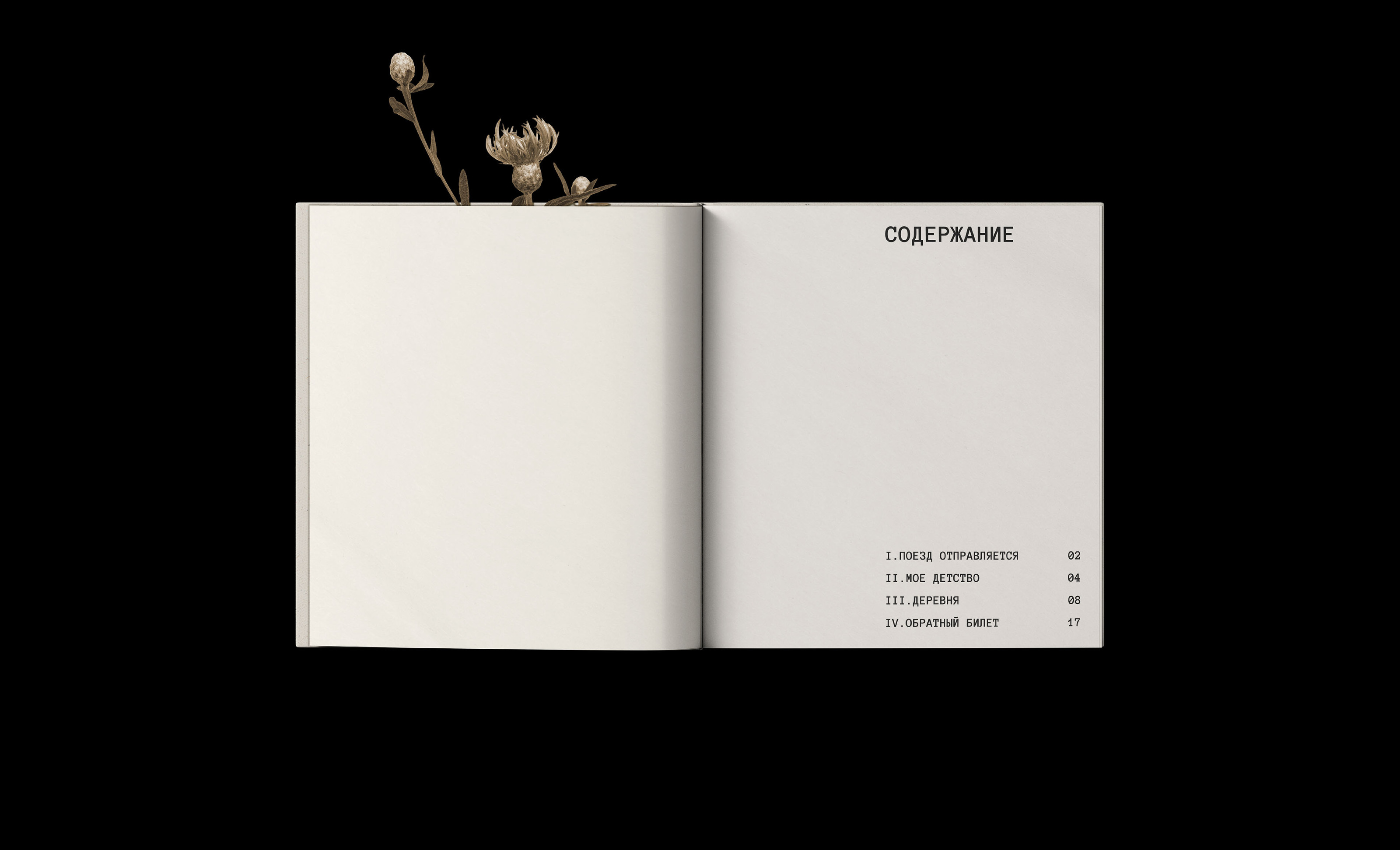 Поезд в детство — Зин | Zine — Изображение №2 — Графика на Dprofile
