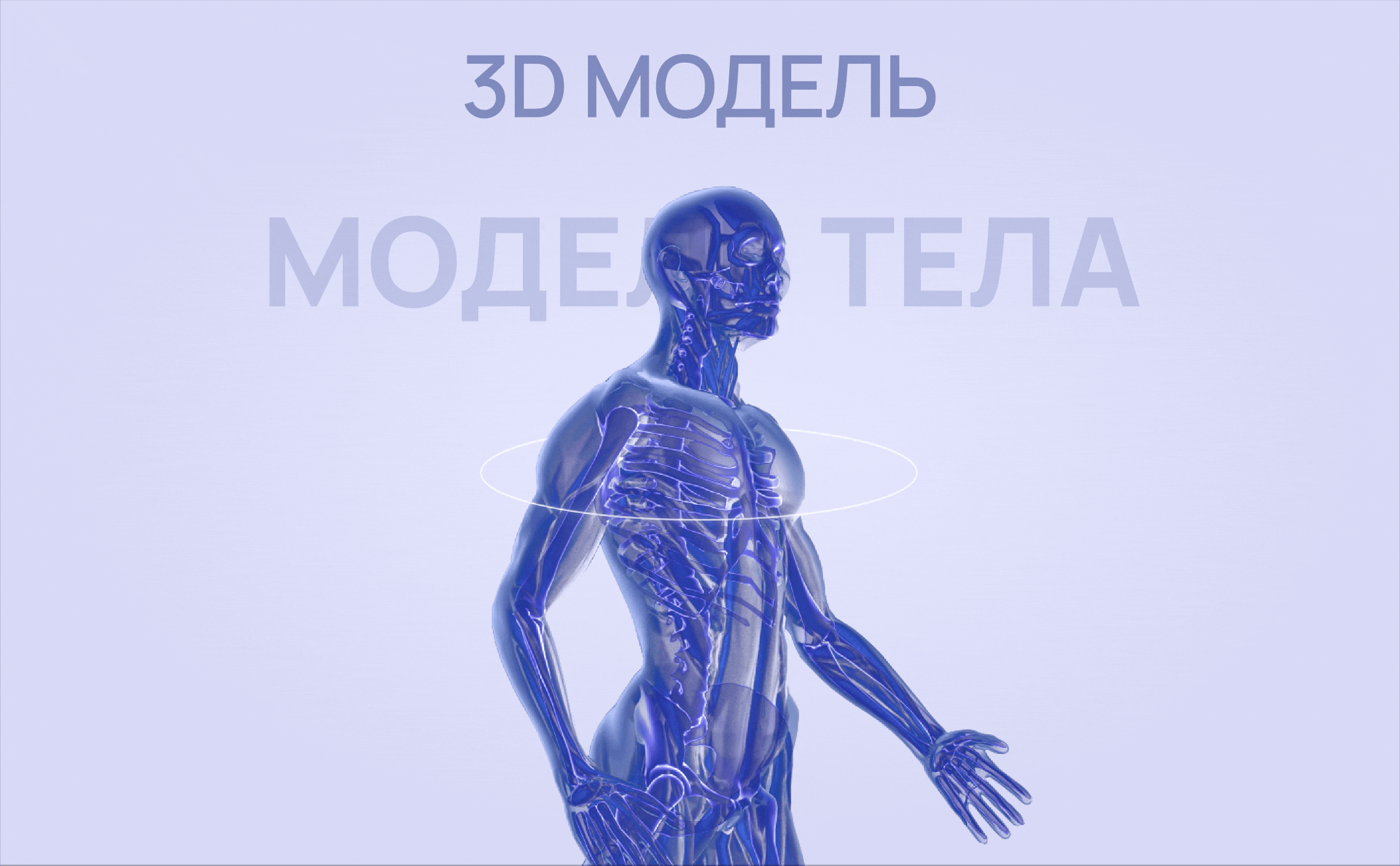 Виртуальная травматология с 3D моделью человеческого тела — Изображение №5 — Интерфейсы на Dprofile
