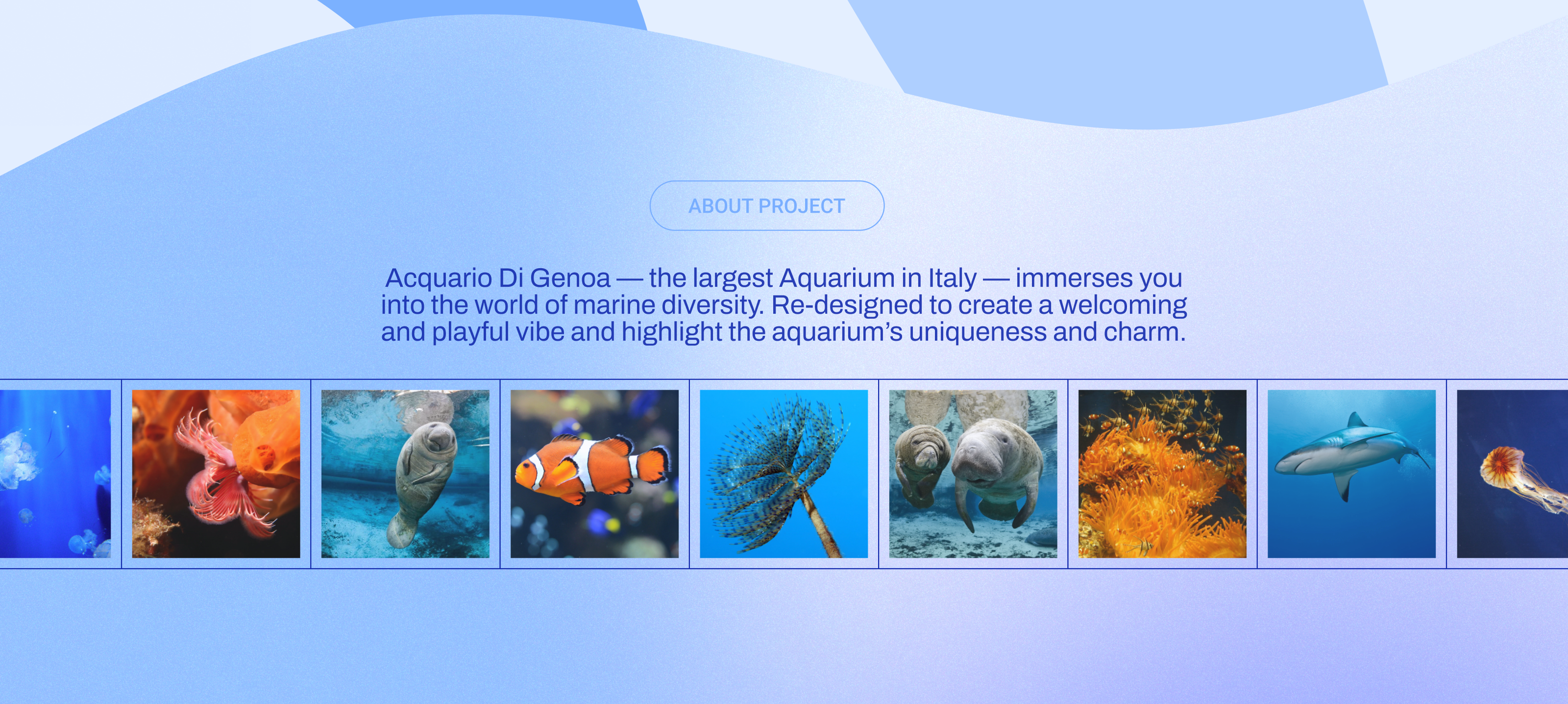 Acquario di Genova — Изображение №2 — Интерфейсы, Брендинг на Dprofile
