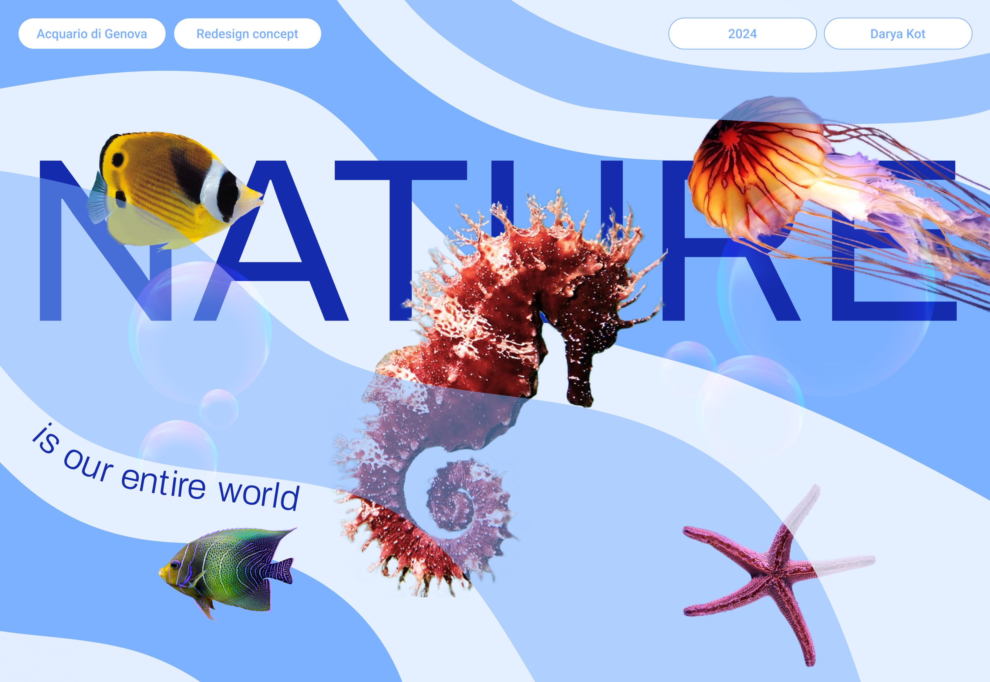 Acquario di Genova — Изображение №1 — Интерфейсы, Брендинг на Dprofile