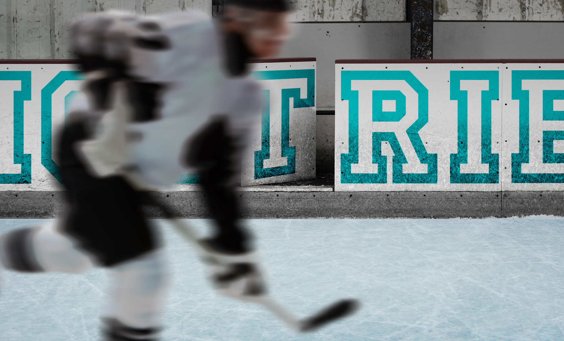 Айдентика для бренда Ice Tribe — Изображение №8 — Брендинг, Иллюстрация на Dprofile