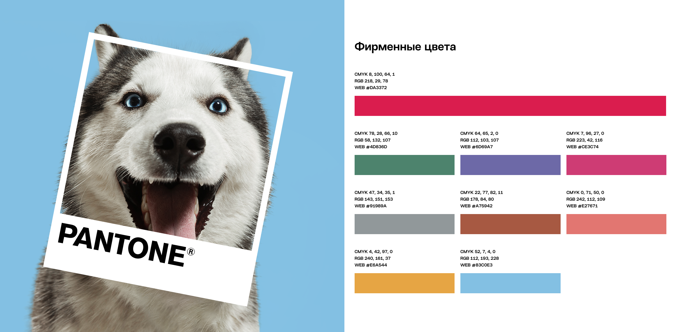 Ребрендинг Superpet — Изображение №3 — Брендинг, Иллюстрация на Dprofile