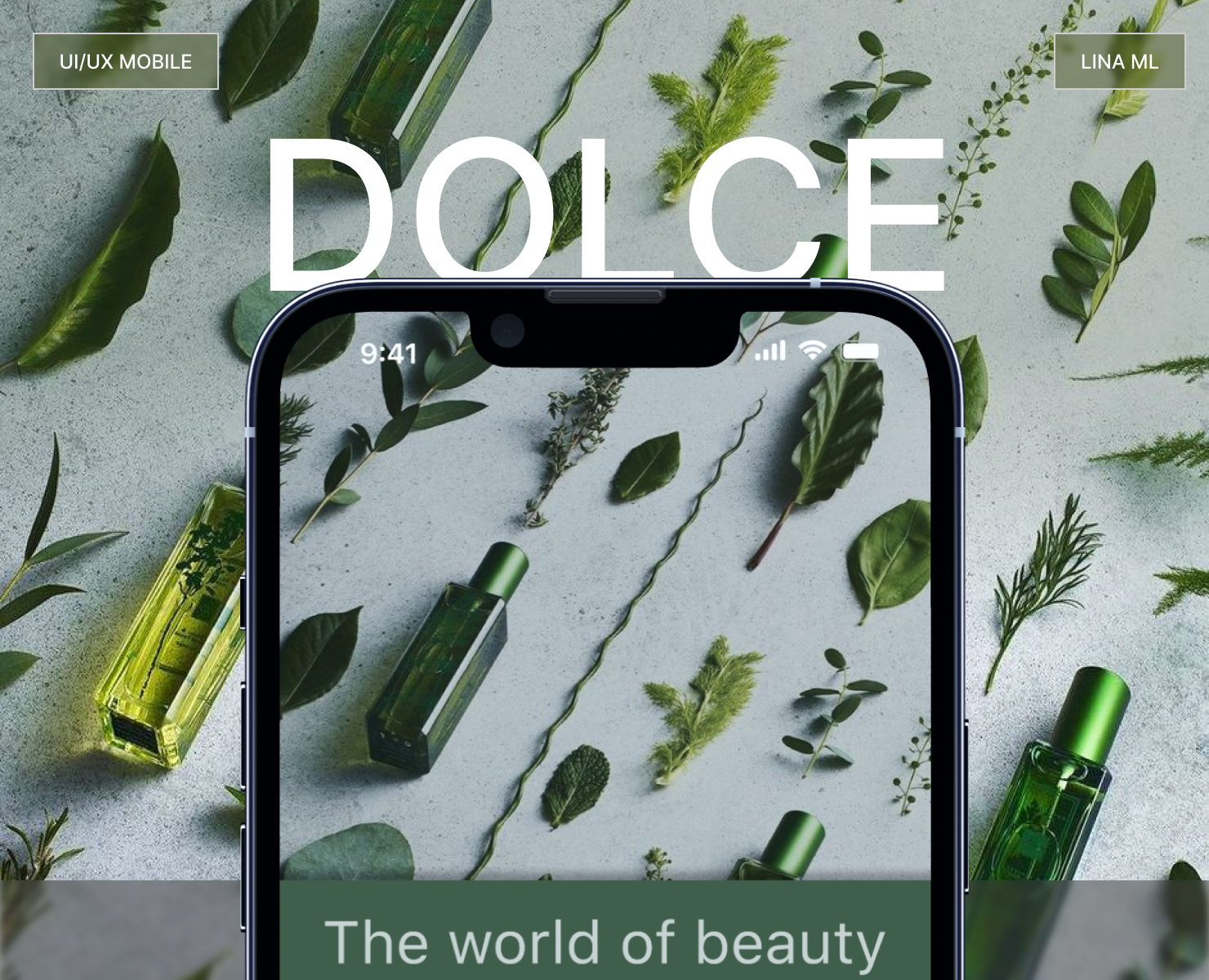 Dolce (concept app) — Интерфейсы на Dprofile