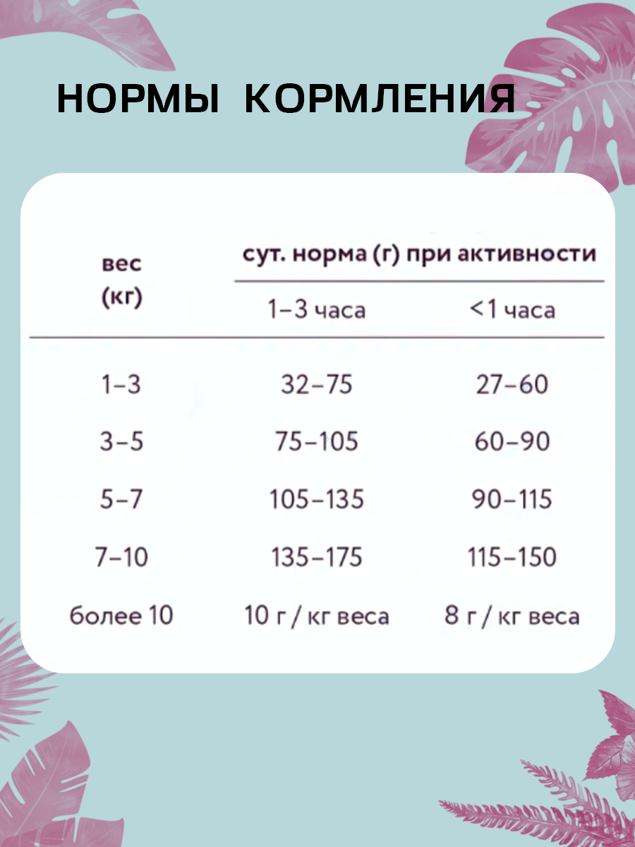 Дизайн карточки WB_сухой корм — Изображение №19 — Графика, Маркетинг на Dprofile