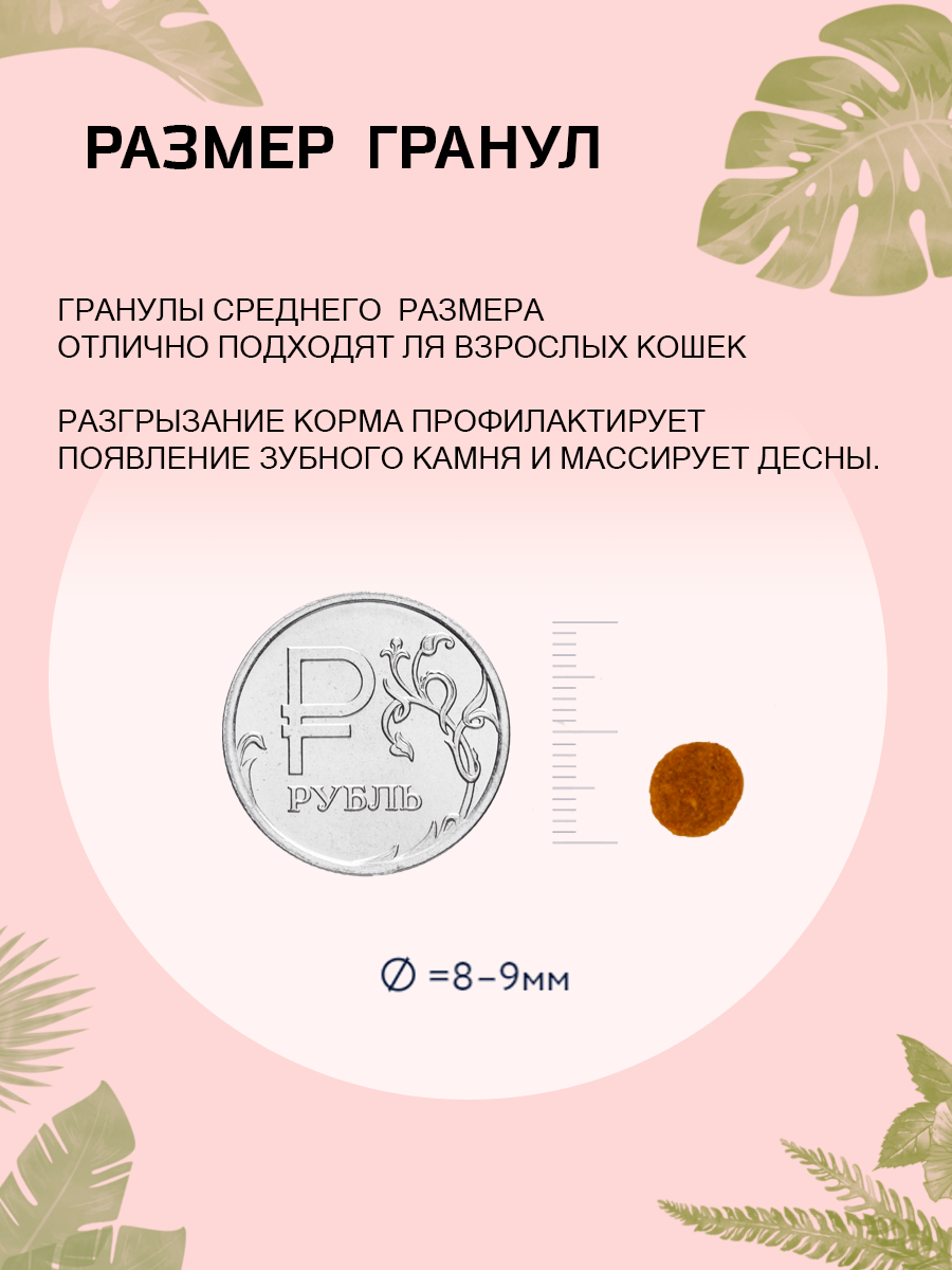 Дизайн карточки WB_сухой корм — Изображение №14 — Графика, Маркетинг на Dprofile