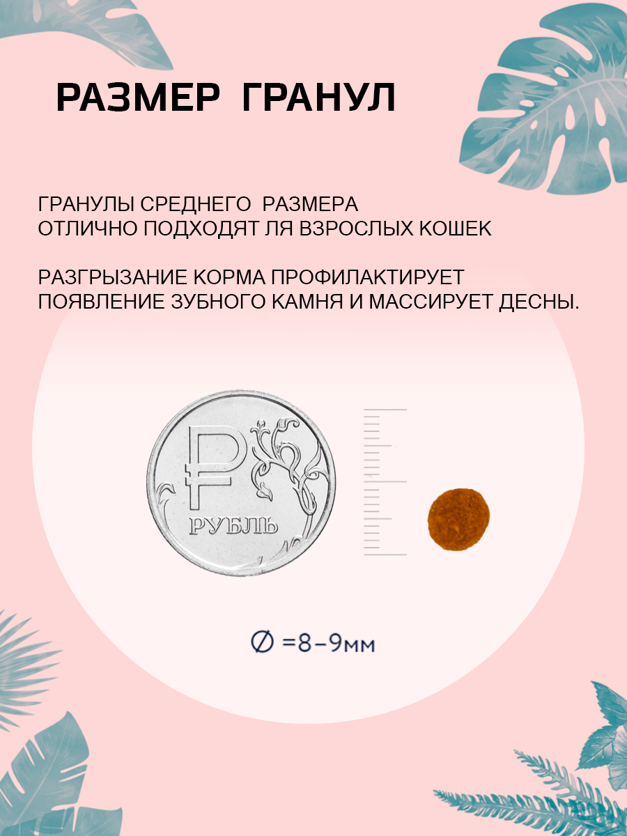 Дизайн карточки WB_сухой корм — Изображение №6 — Графика, Маркетинг на Dprofile