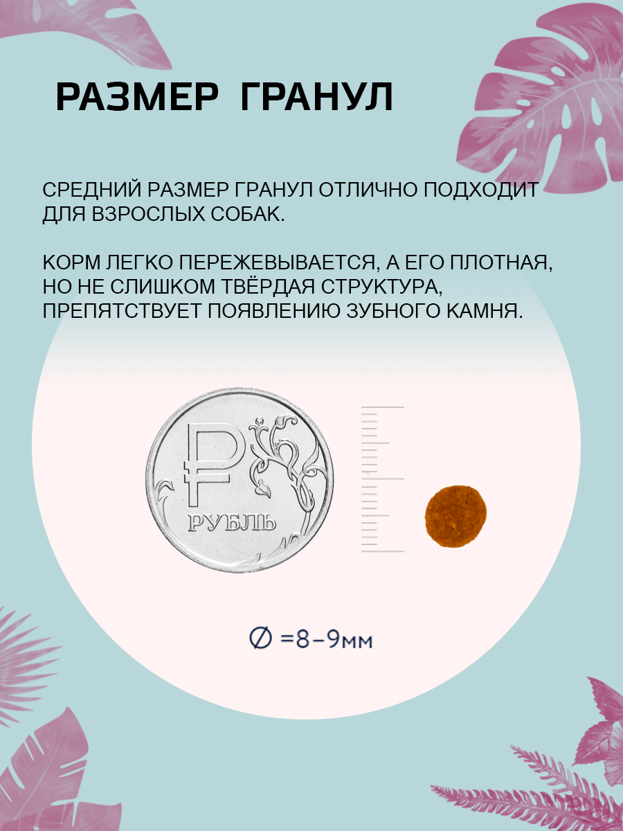 Дизайн карточки WB_сухой корм — Изображение №20 — Графика, Маркетинг на Dprofile