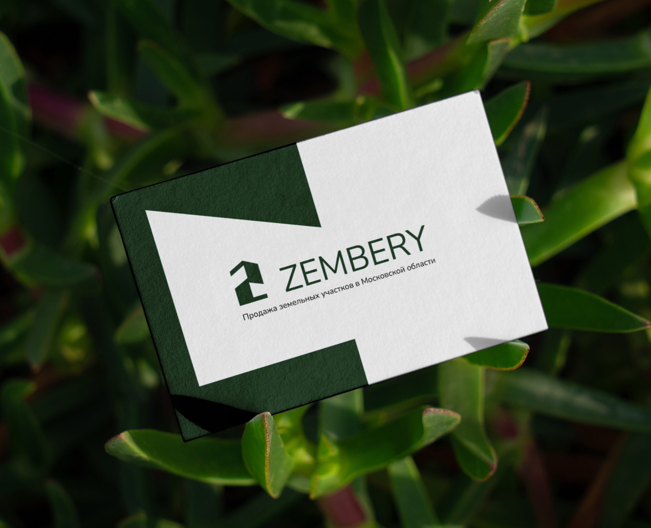 Zembery | фирменный стиль — Брендинг на Dprofile