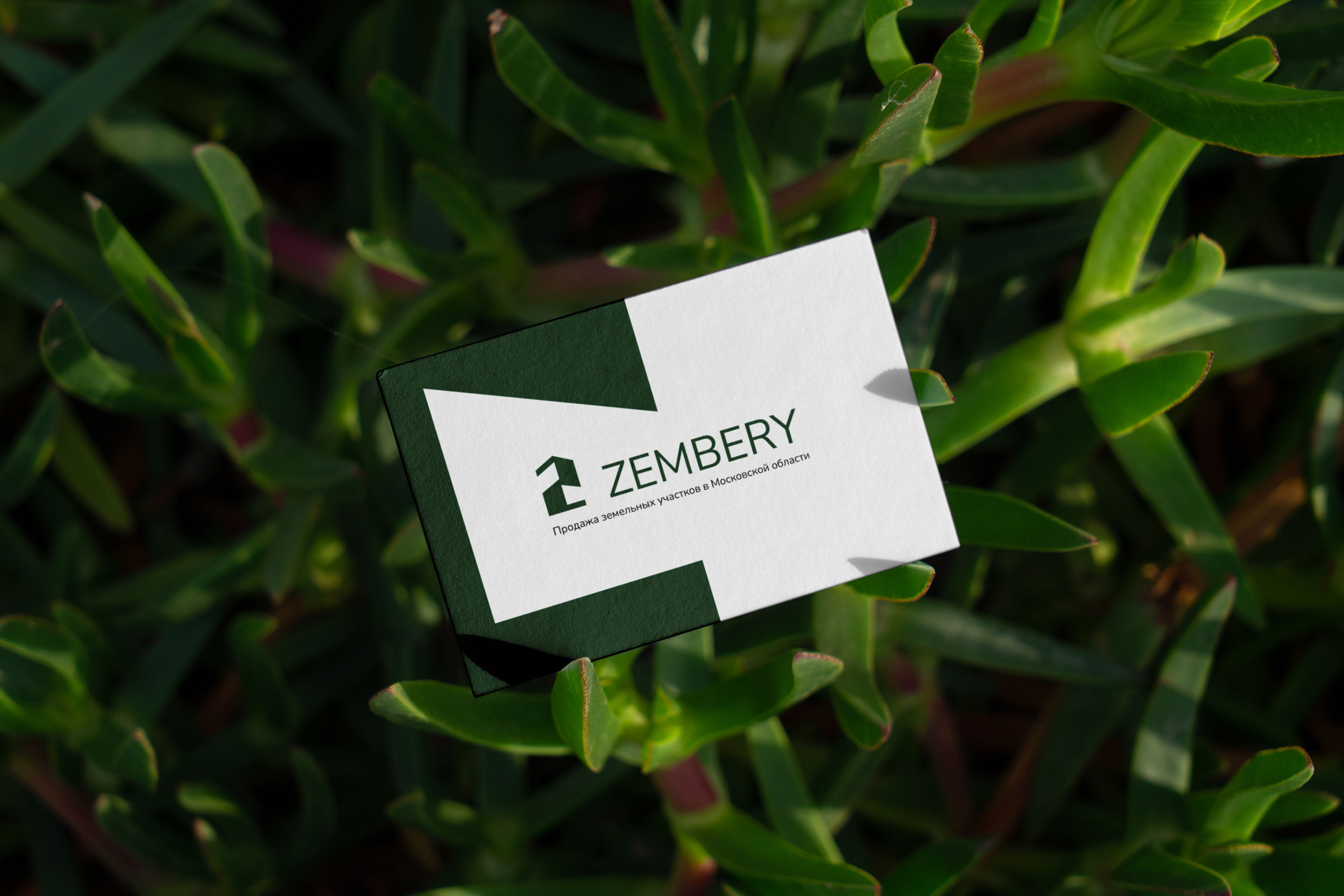 Zembery | фирменный стиль — Изображение №2 — Брендинг на Dprofile