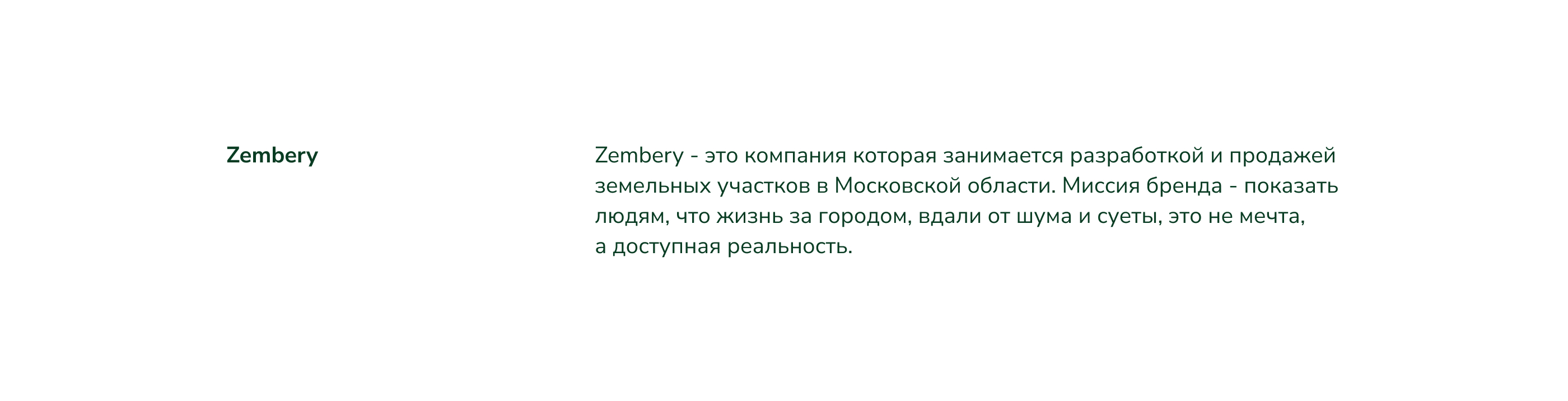 Zembery | фирменный стиль — Изображение №1 — Брендинг на Dprofile