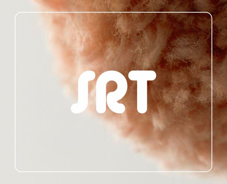 SRT logo — Брендинг на Dprofile