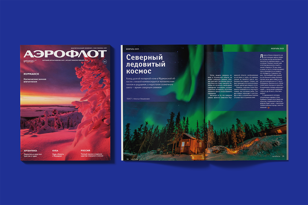 Серия дизайнов для рекламной компании Аэрофлота — Изображение №7 — Брендинг, Графика на Dprofile