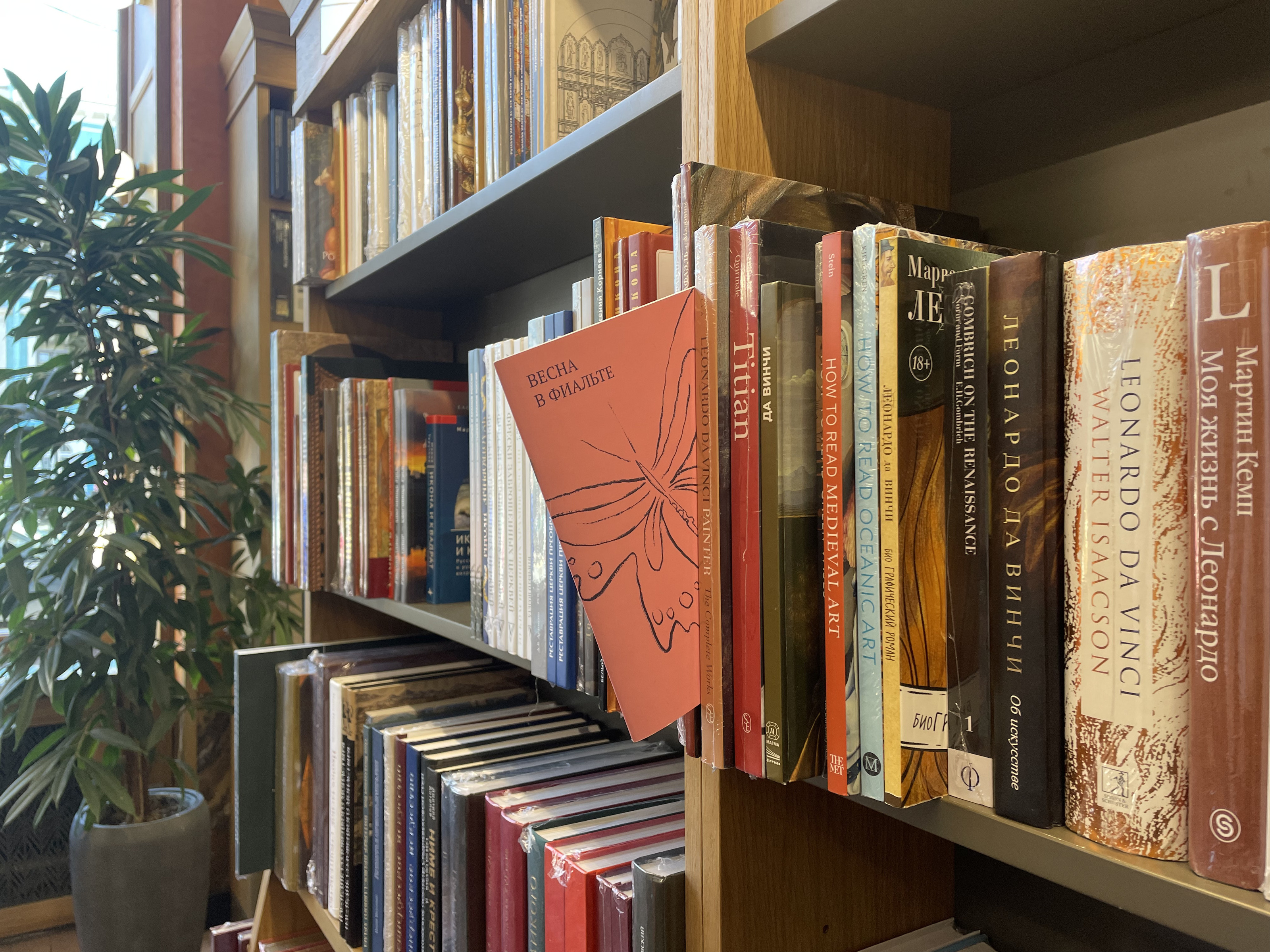 книжная иллюстрация. весна в фиальте — Изображение №1 — Иллюстрация, Графика на Dprofile
