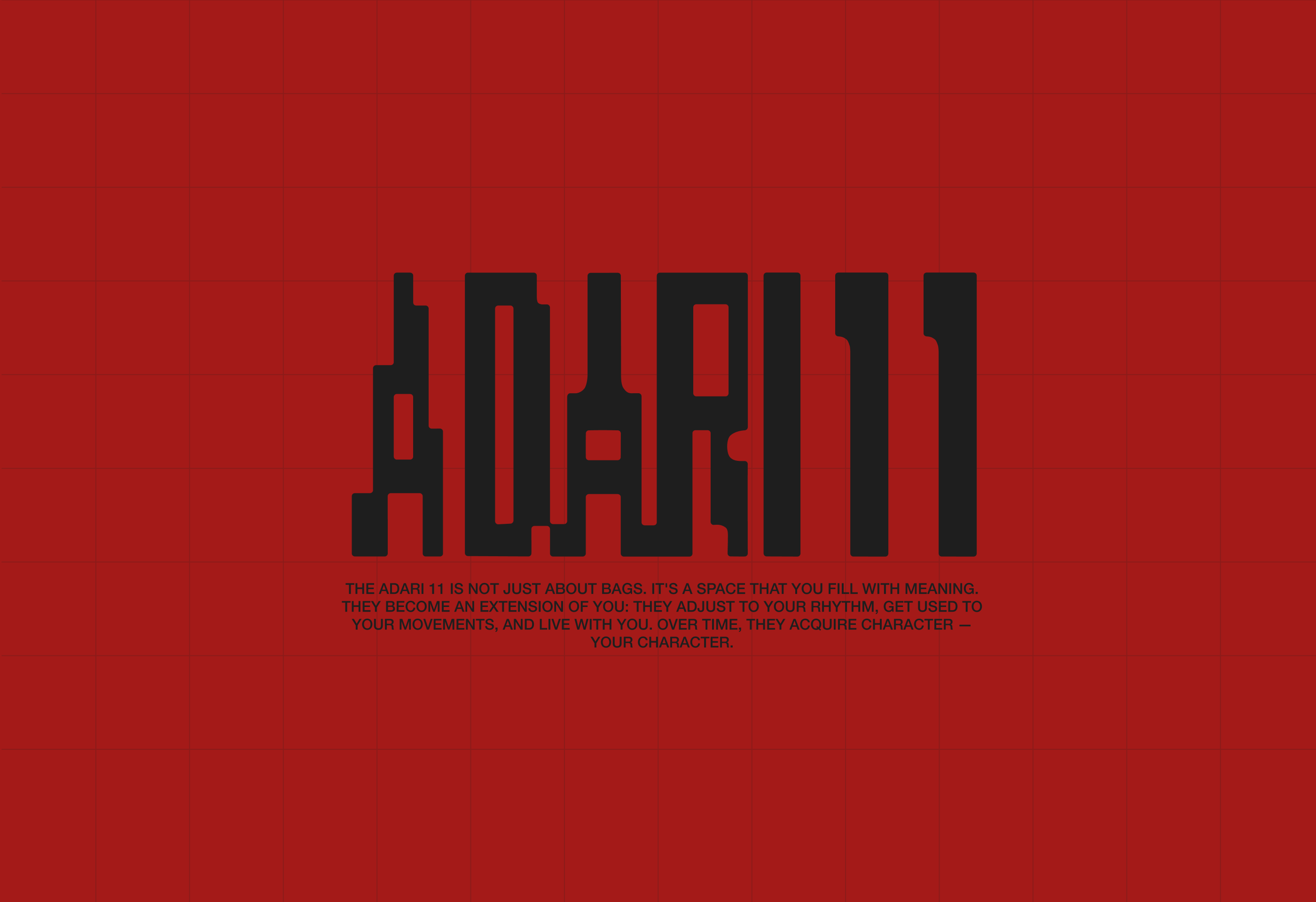 ADARI11 — Изображение №3 — Брендинг на Dprofile