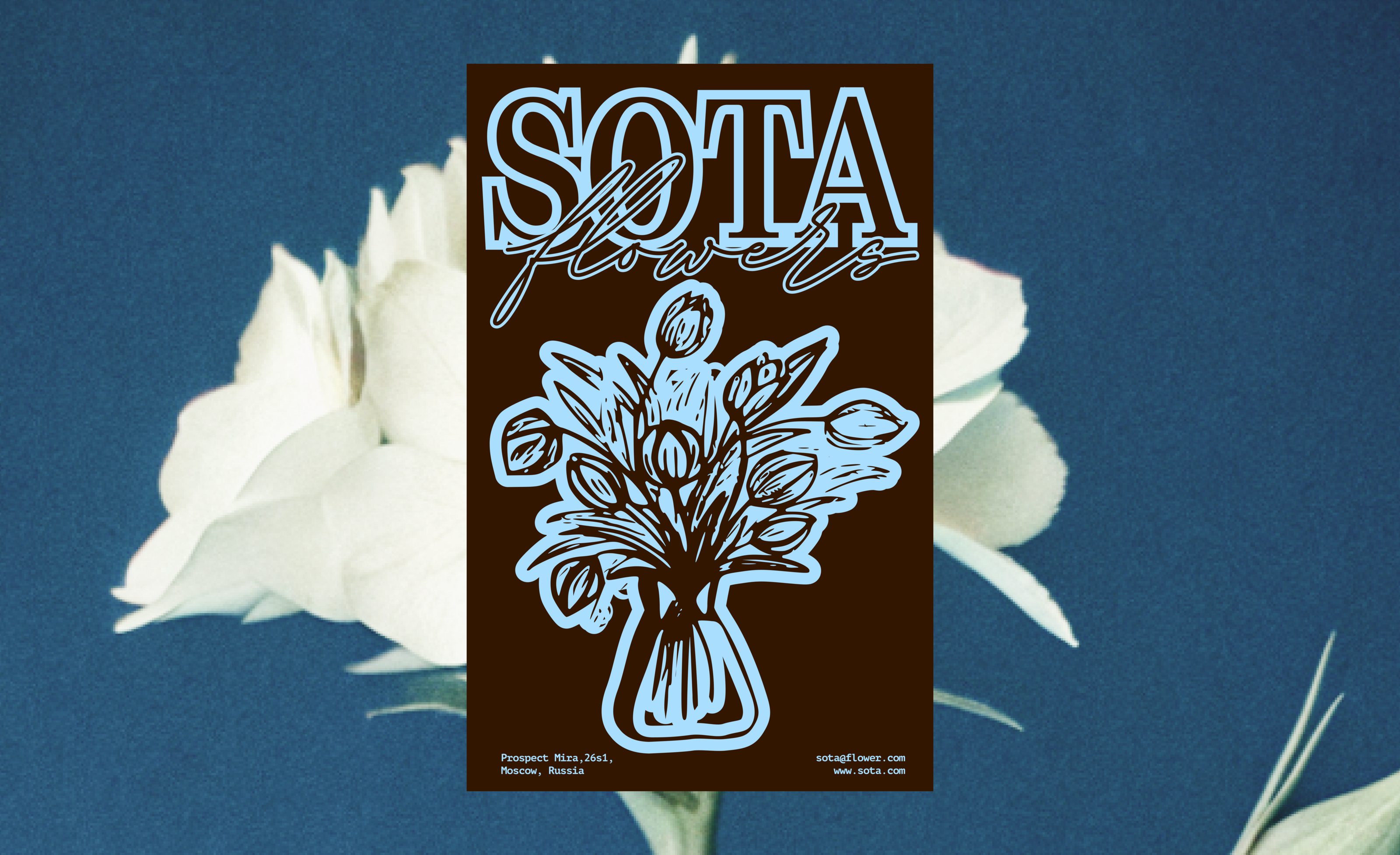 SOTA - айдентика для бренда цветов — Изображение №11 — Брендинг на Dprofile