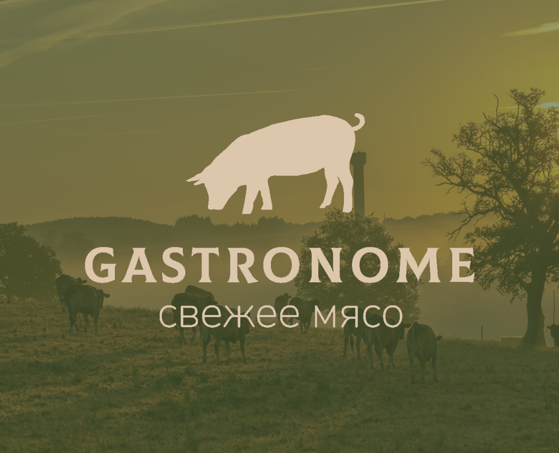 Фирменный стиль для магазина мяса — Брендинг, Графика на Dprofile