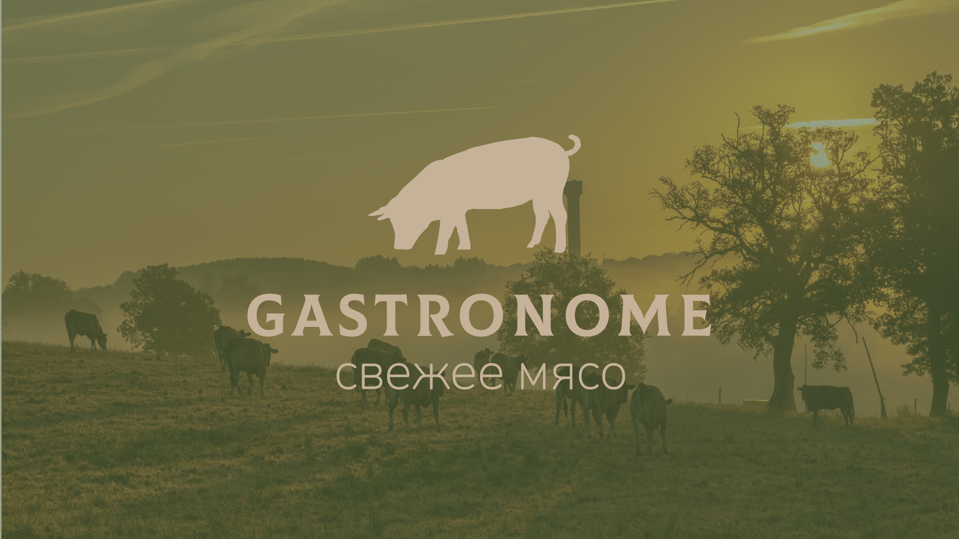Фирменный стиль для магазина мяса — Изображение №1 — Брендинг, Графика на Dprofile