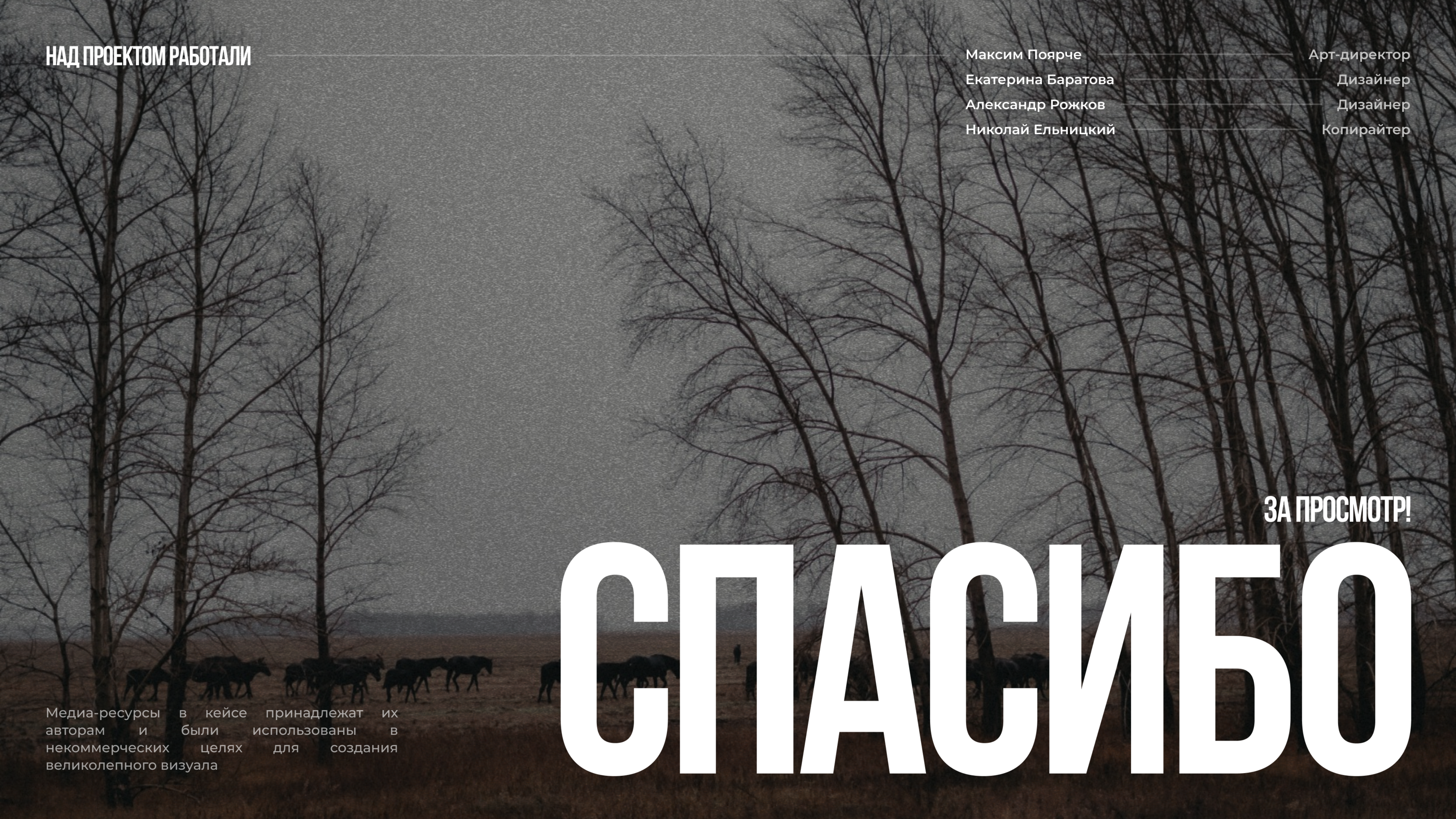 Ник Чернобаев | Дизайн сайта-курса — Изображение №10 — Интерфейсы, Брендинг на Dprofile