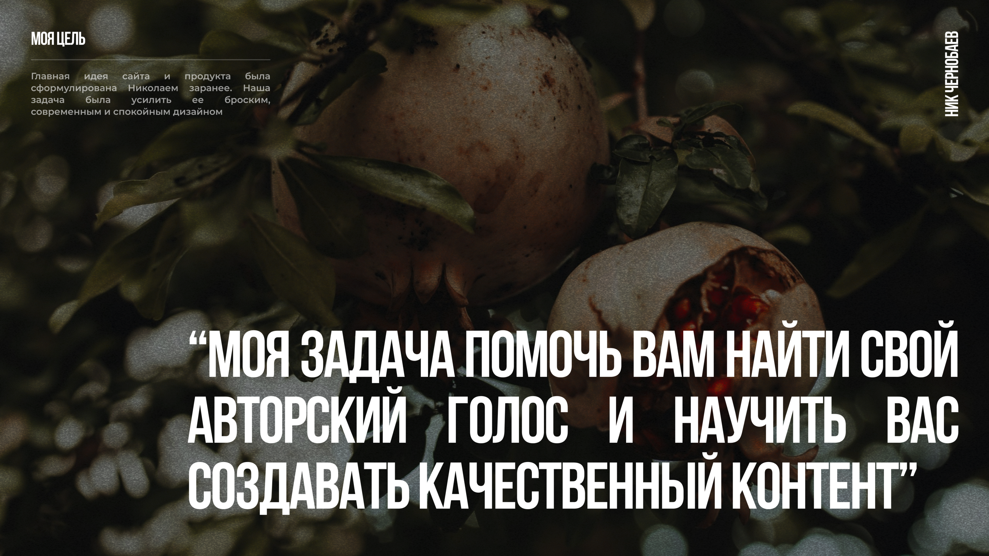 Ник Чернобаев | Дизайн сайта-курса — Изображение №8 — Интерфейсы, Брендинг на Dprofile