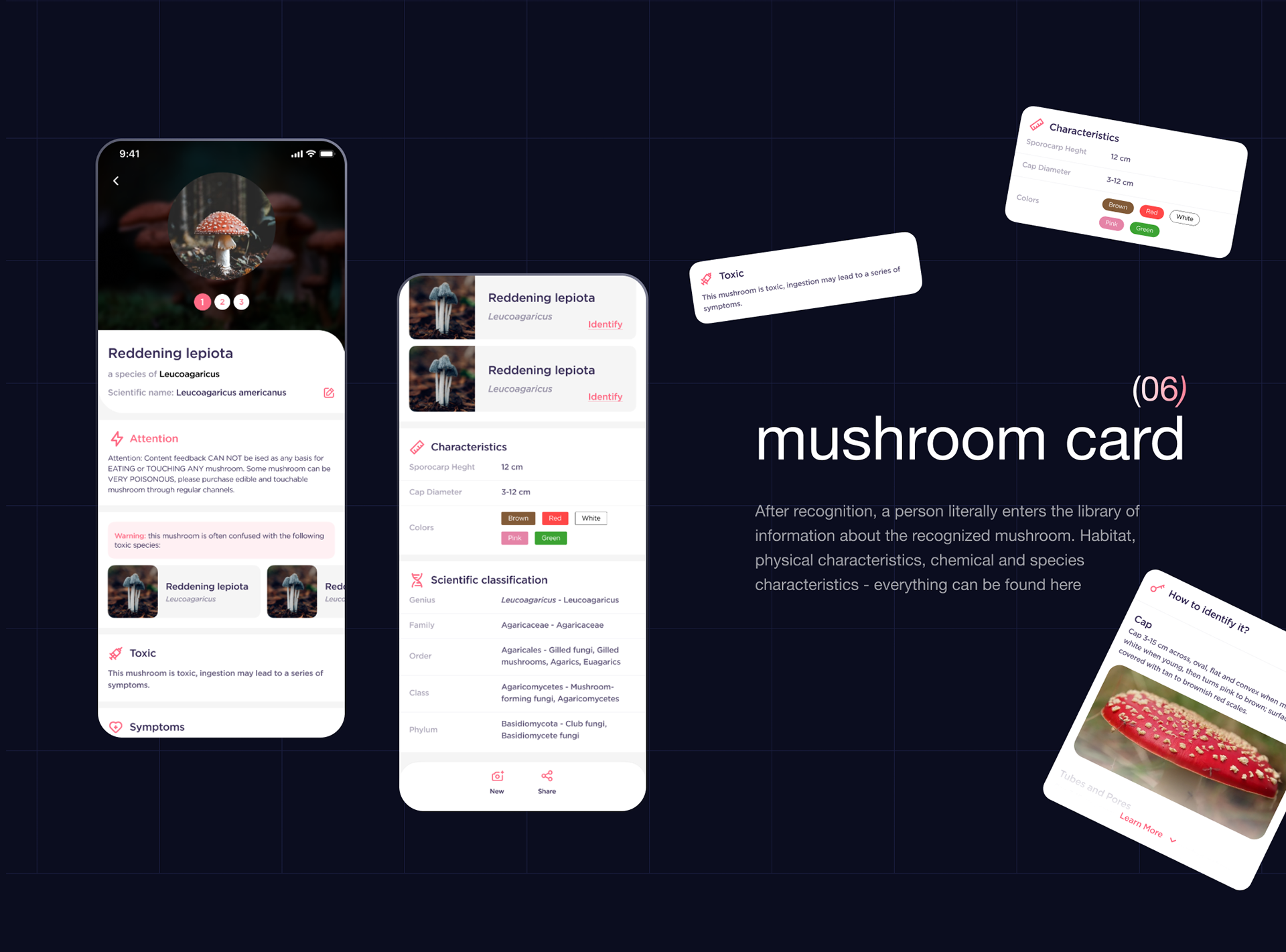 fungusID® / ml mushroom identifier — Изображение №9 — Интерфейсы на Dprofile