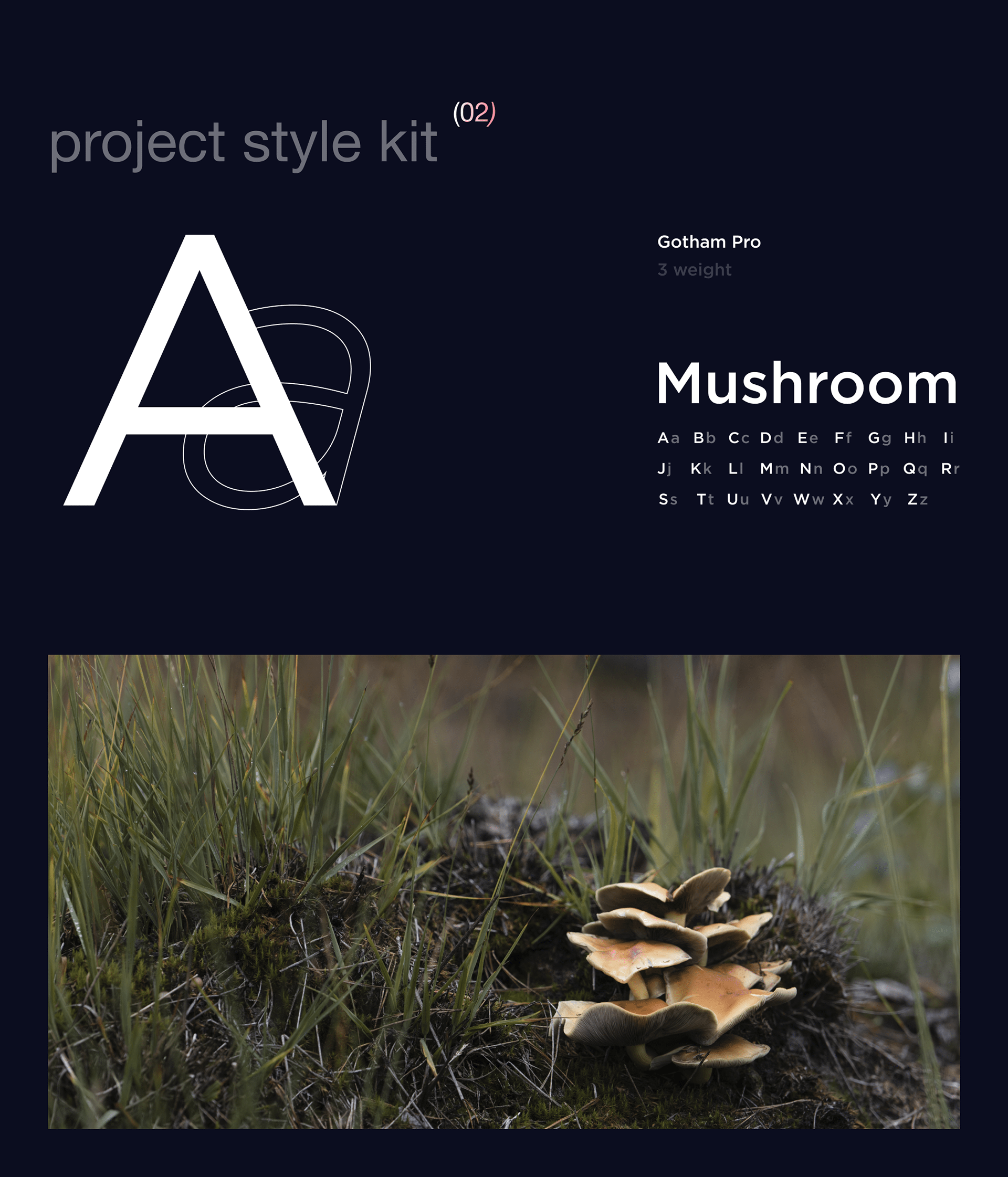 fungusID® / ml mushroom identifier — Изображение №4 — Интерфейсы на Dprofile