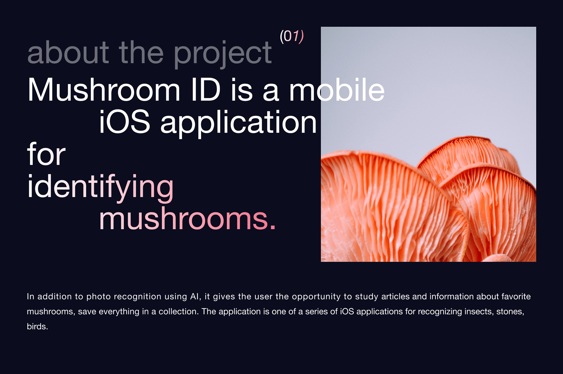 fungusID® / ml mushroom identifier — Изображение №2 — Интерфейсы на Dprofile
