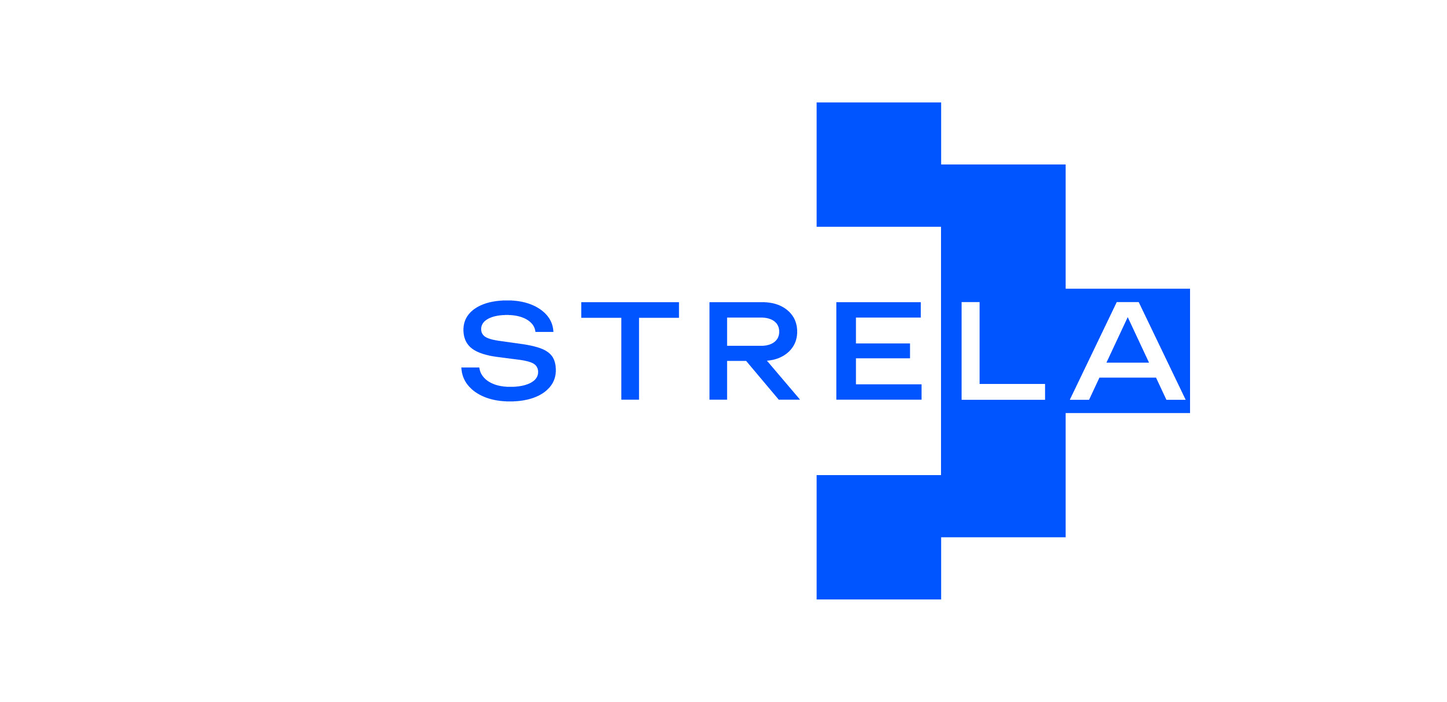 STRELA — digital conference (brand identity) — Изображение №1 — Брендинг, Графика на Dprofile