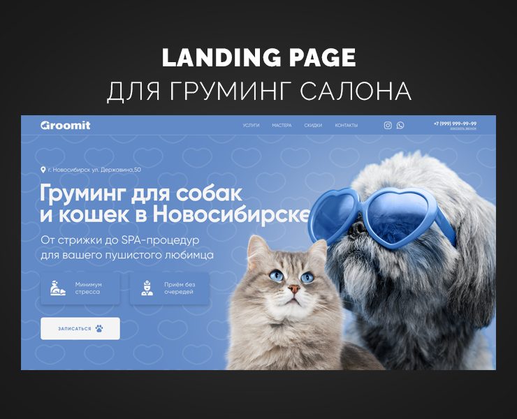 Груминг салон — Интерфейсы на Dprofile