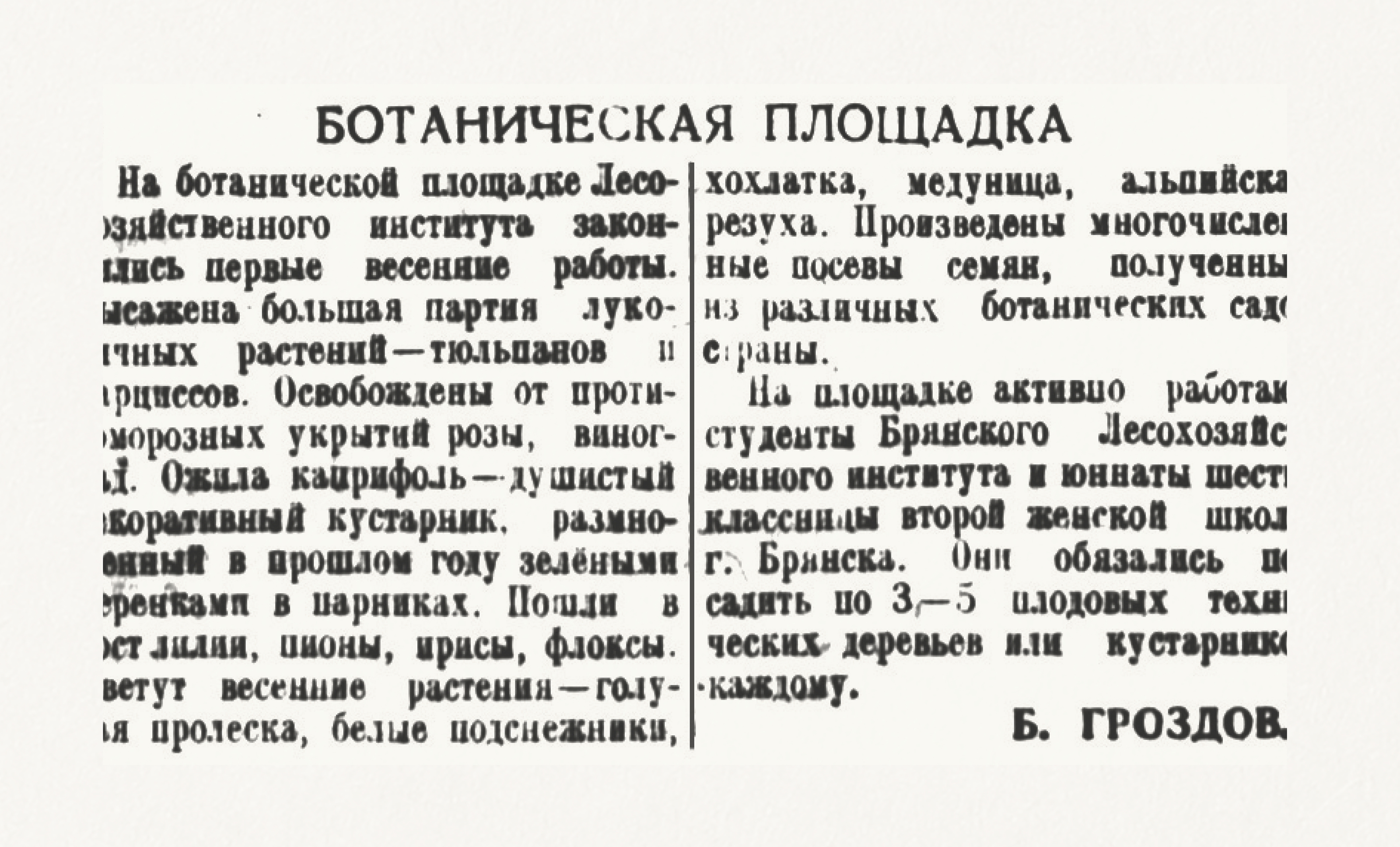 Айдентика для ботанического сада им. Б.В. Гроздова — Изображение №3 — Брендинг на Dprofile