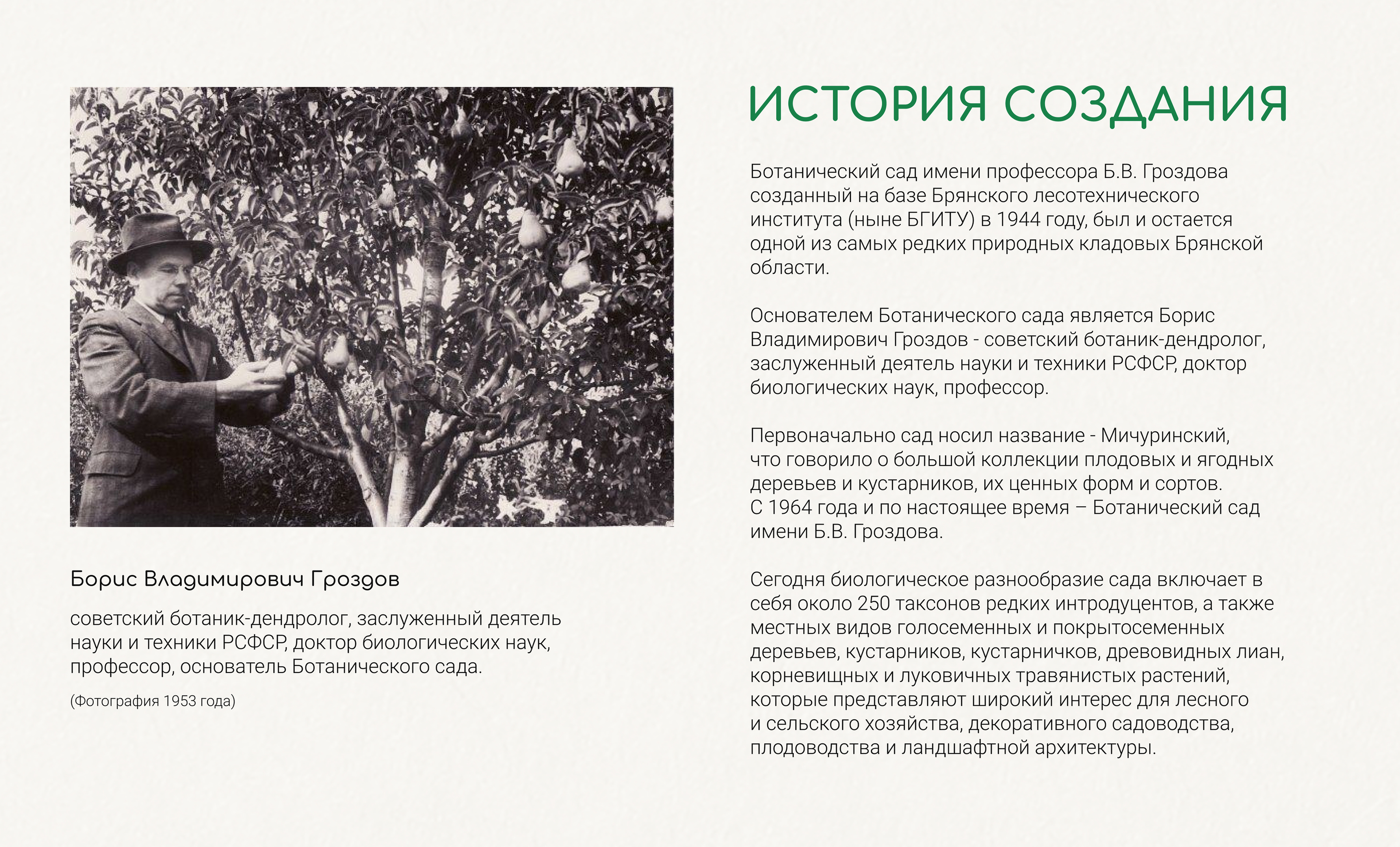 Айдентика для ботанического сада им. Б.В. Гроздова — Изображение №2 — Брендинг на Dprofile