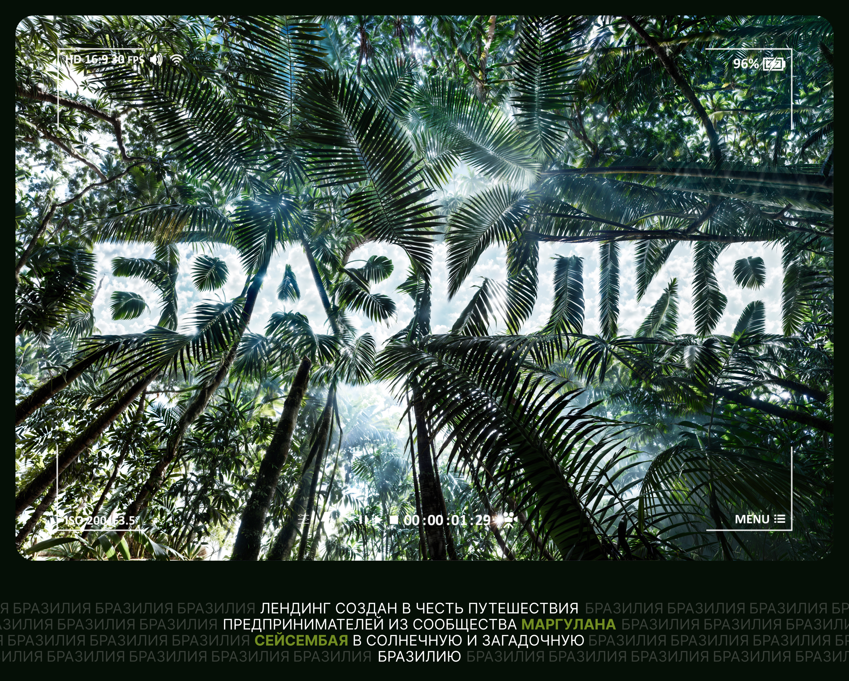 Лендинг премиум-путешествия в Бразилию — Изображение №1 — Интерфейсы, Брендинг на Dprofile