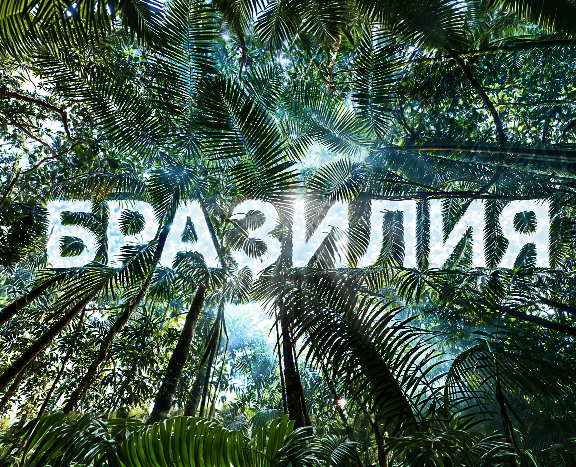 Лендинг премиум-путешествия в Бразилию на Dprofile