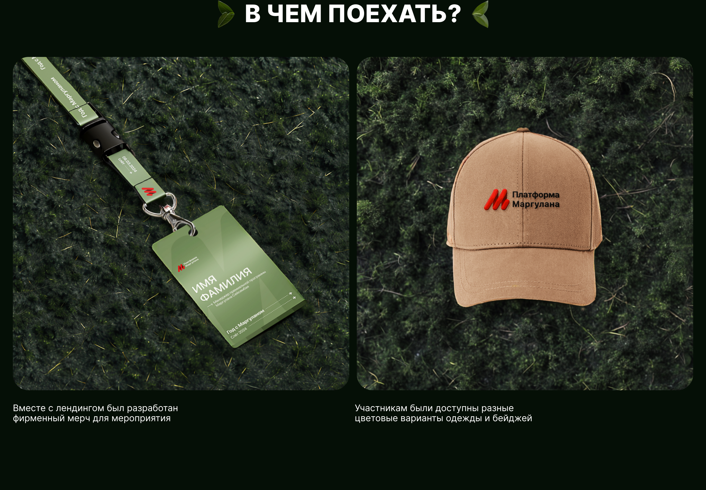 Лендинг премиум-путешествия в Бразилию — Изображение №4 — Интерфейсы, Брендинг на Dprofile