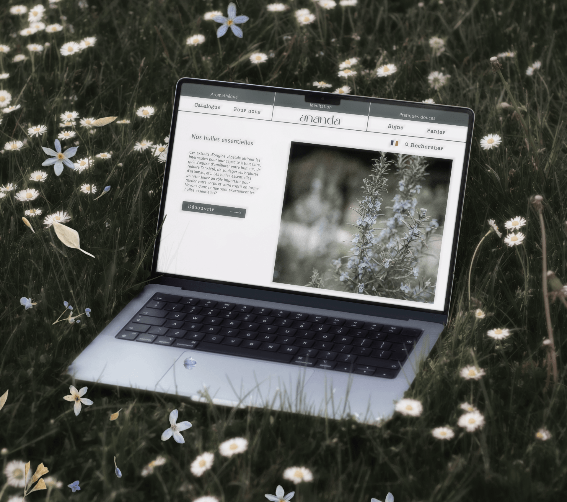 Ananda | Meditation space and aromateca concept — Изображение №15 — Брендинг на Dprofile