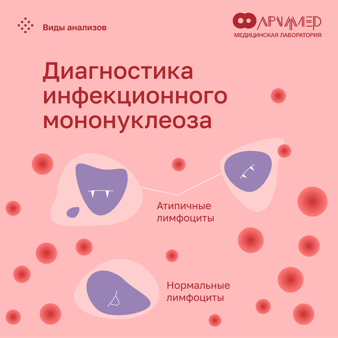 archimedes - medical research laboratory — Изображение №5 — Иллюстрация, Графика, Маркетинг на Dprofile
